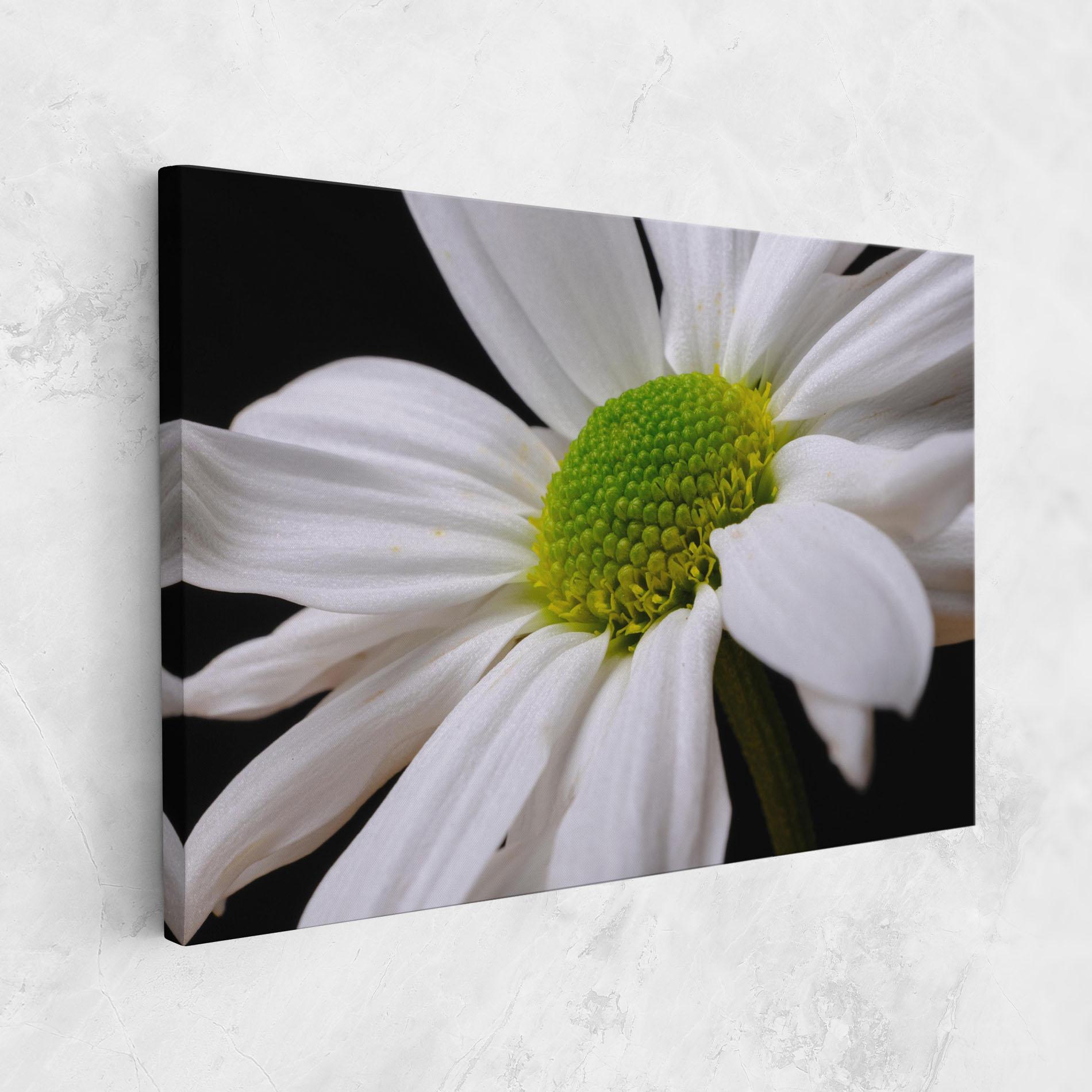 Tablou Canvas Green Middle Daisy mockup 1