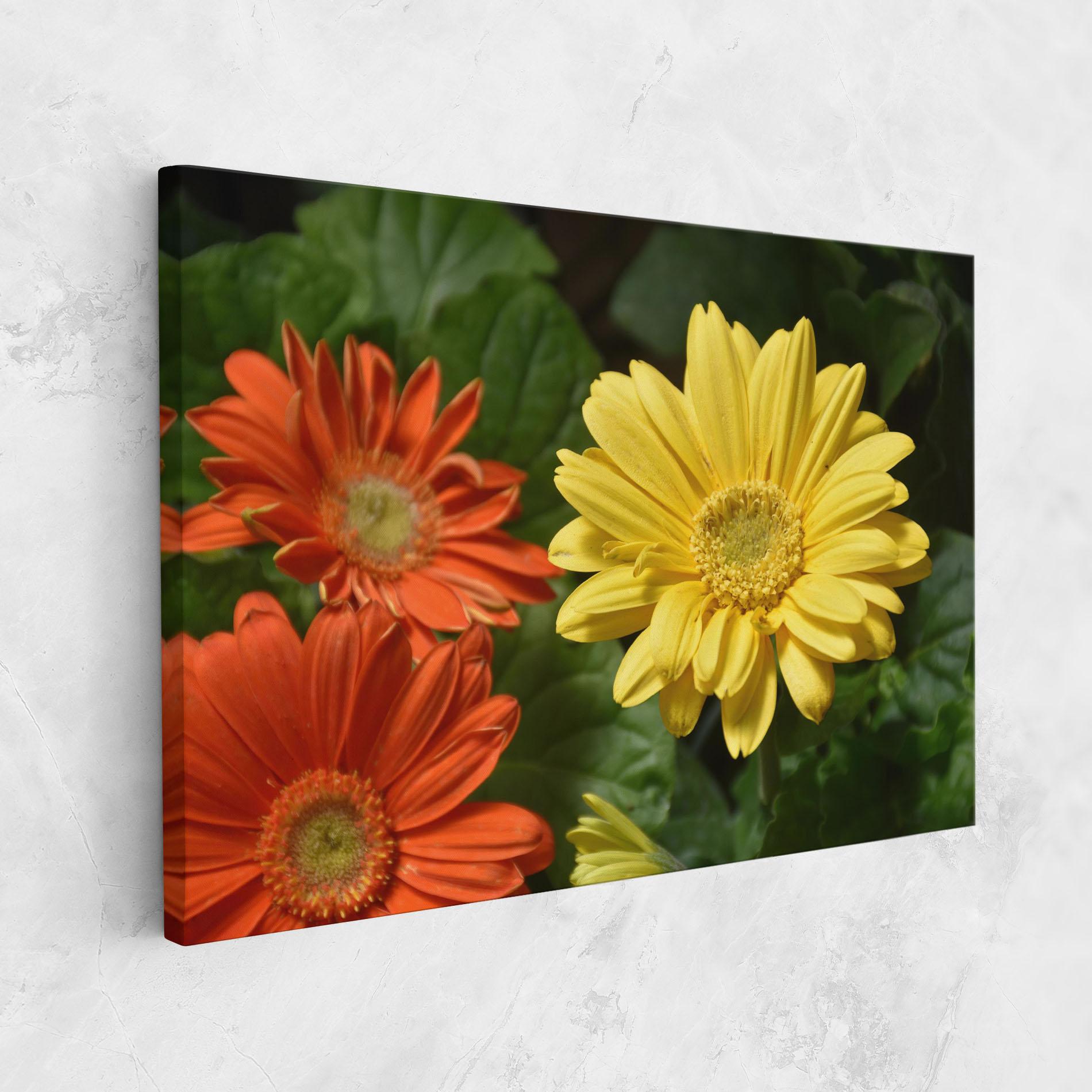 Tablou Canvas Orange Yellow Daisy mockup 1