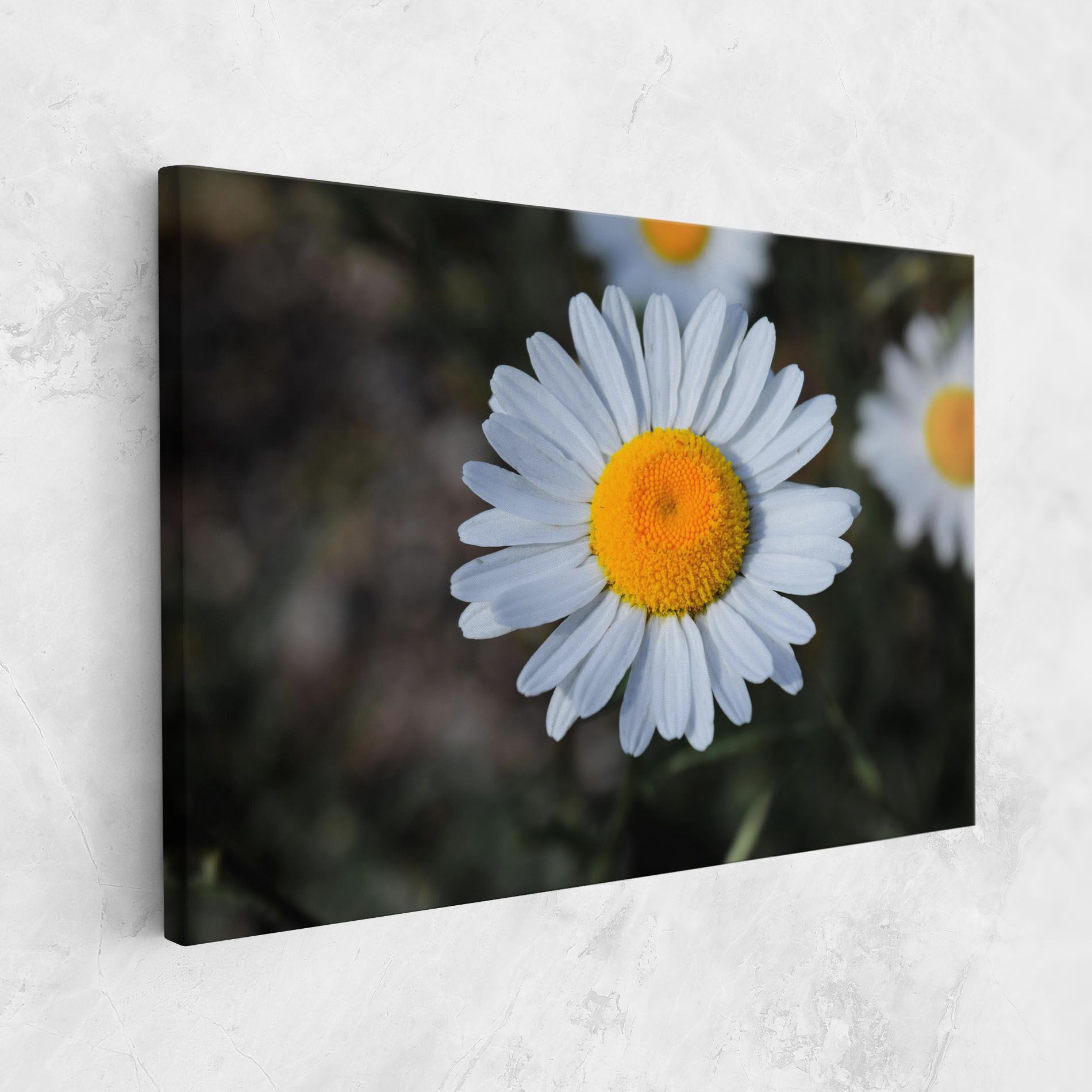 Strong Yellow Daisy mockup 1