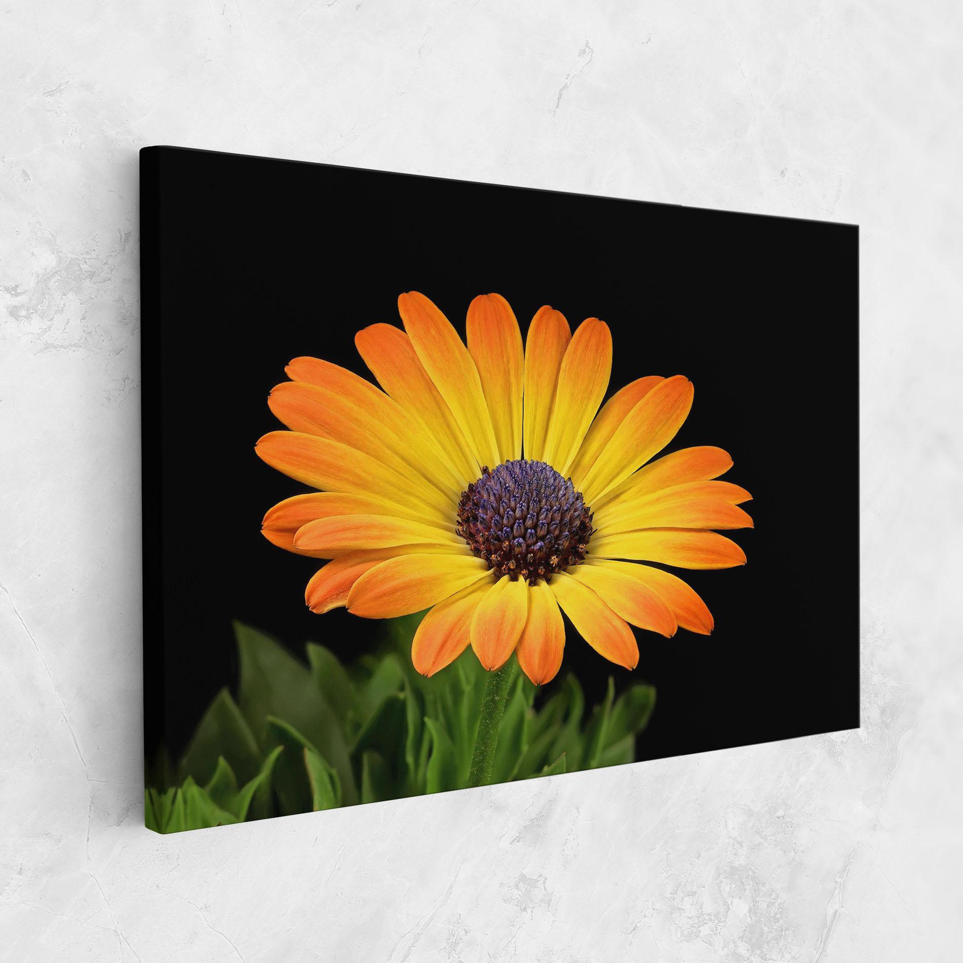 Tablou Canvas Yellow Daisy mockup 1