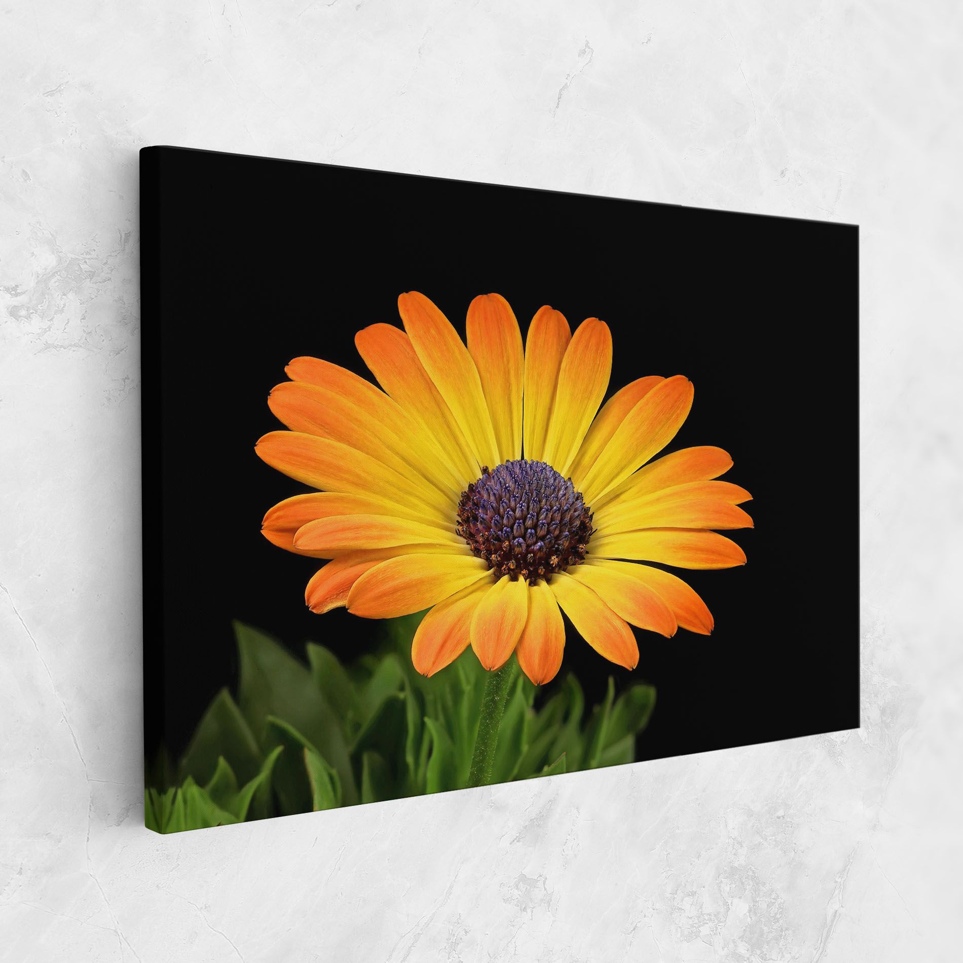 Yellow Daisy mockup 1