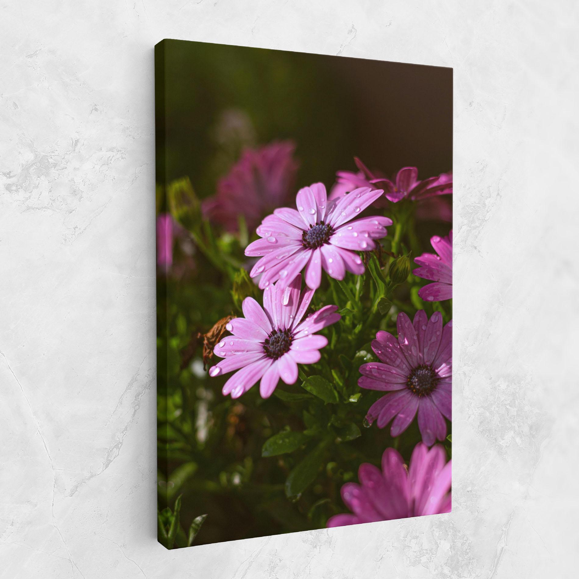 Tablou Canvas Purple Daisy mockup 1