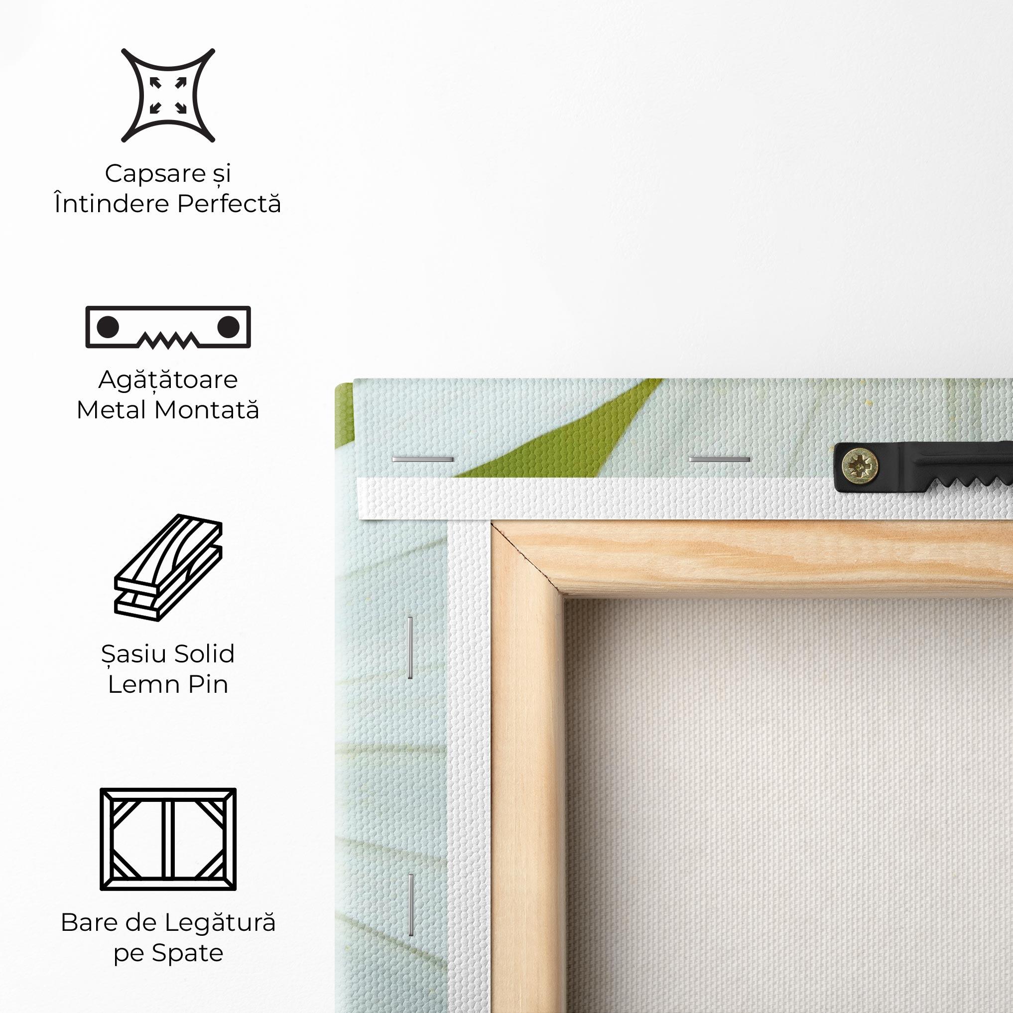 Tablou Canvas Daisy Close Up mockup 5