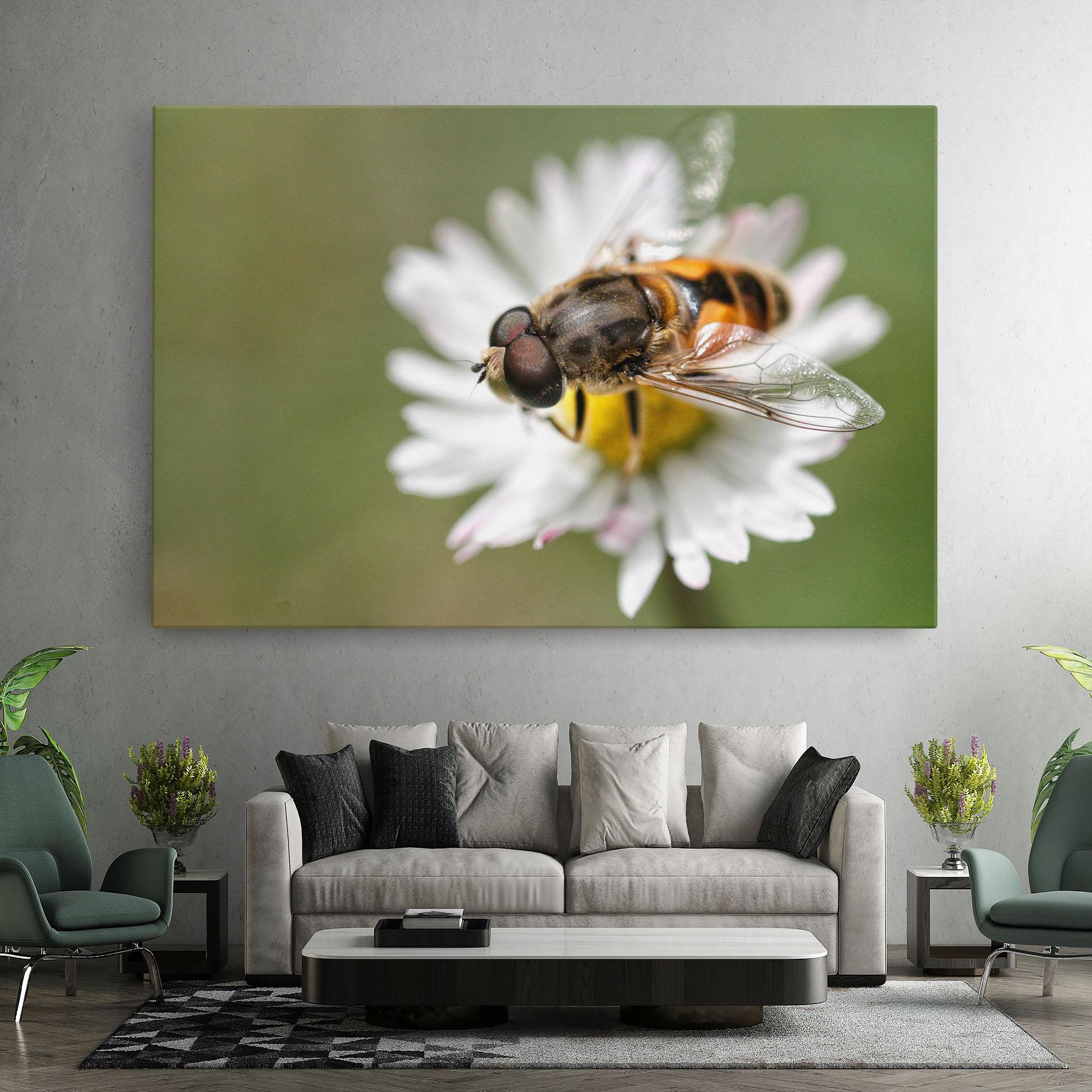 Tablou Canvas Bee On Small Daisy mockup 7