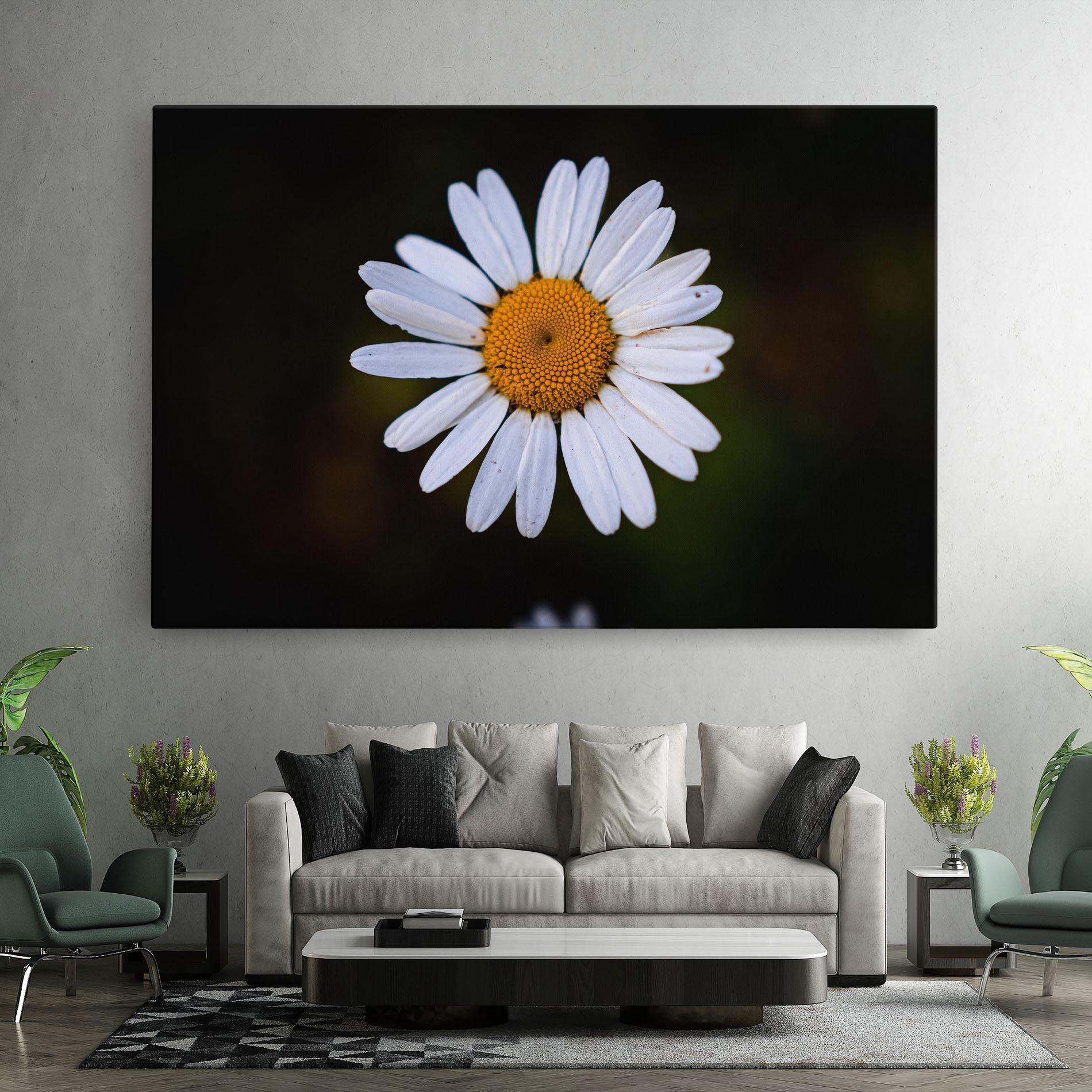 Tablou Canvas Big Yellow Center Daisy mockup 7