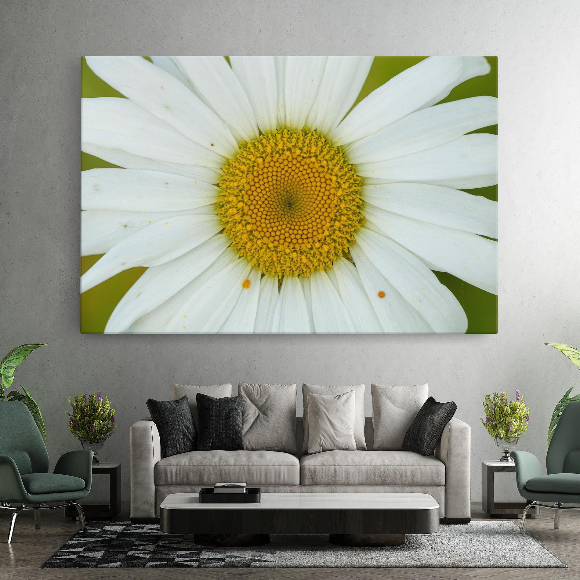 Tablou Canvas Daisy Close Up mockup 7