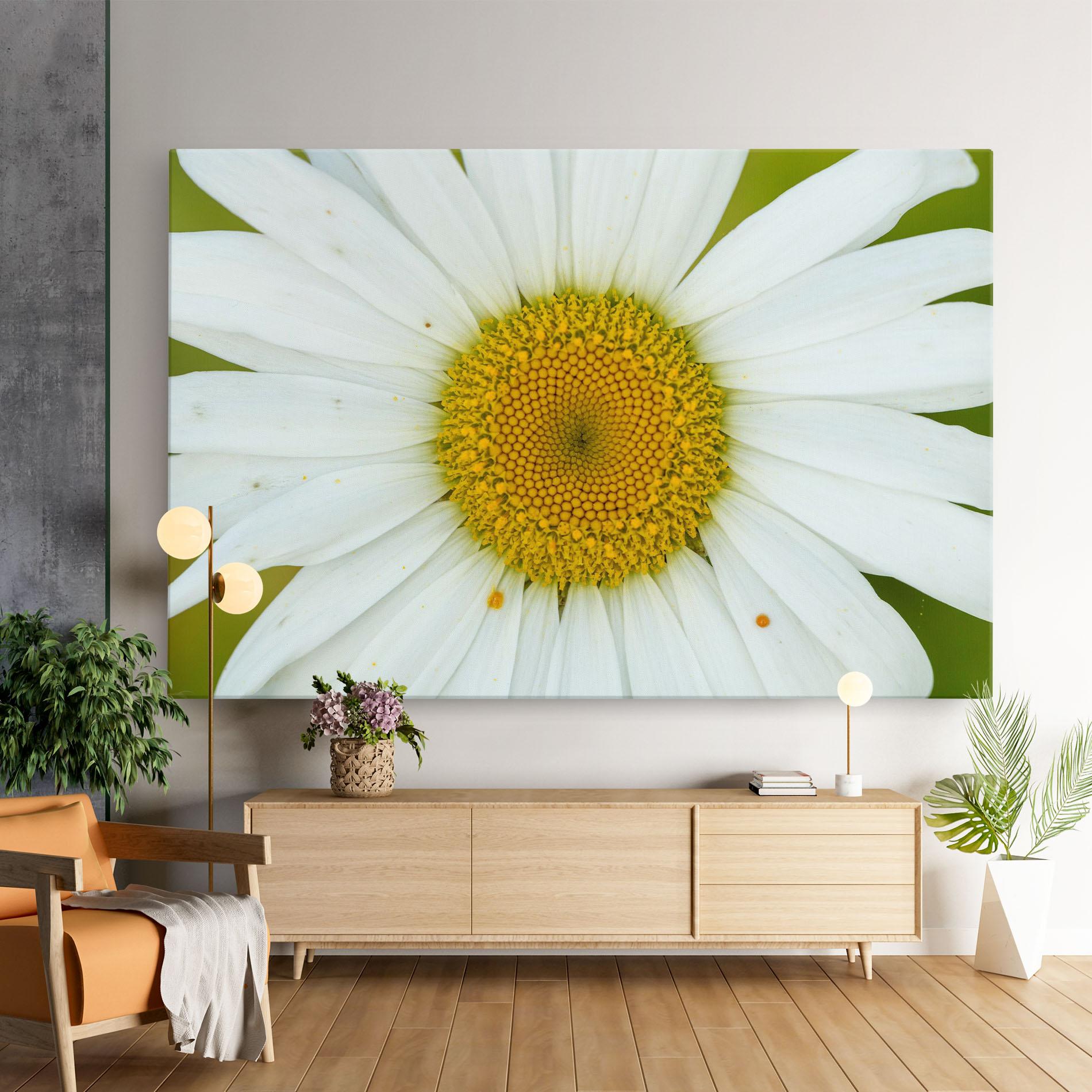 Tablou Canvas Daisy Close Up mockup 9