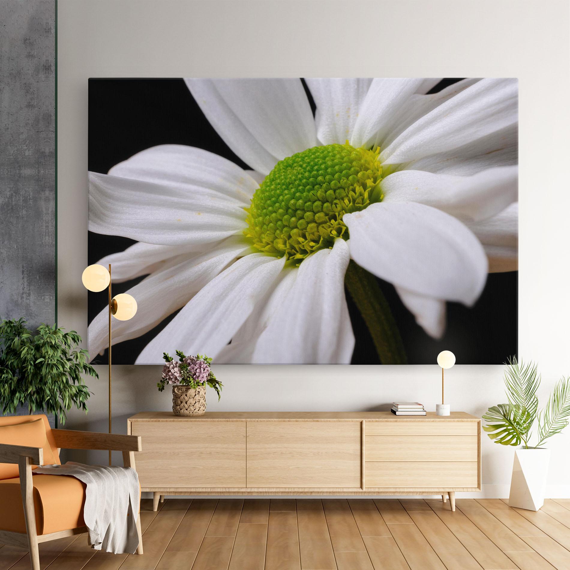 Tablou Canvas Green Middle Daisy mockup 9