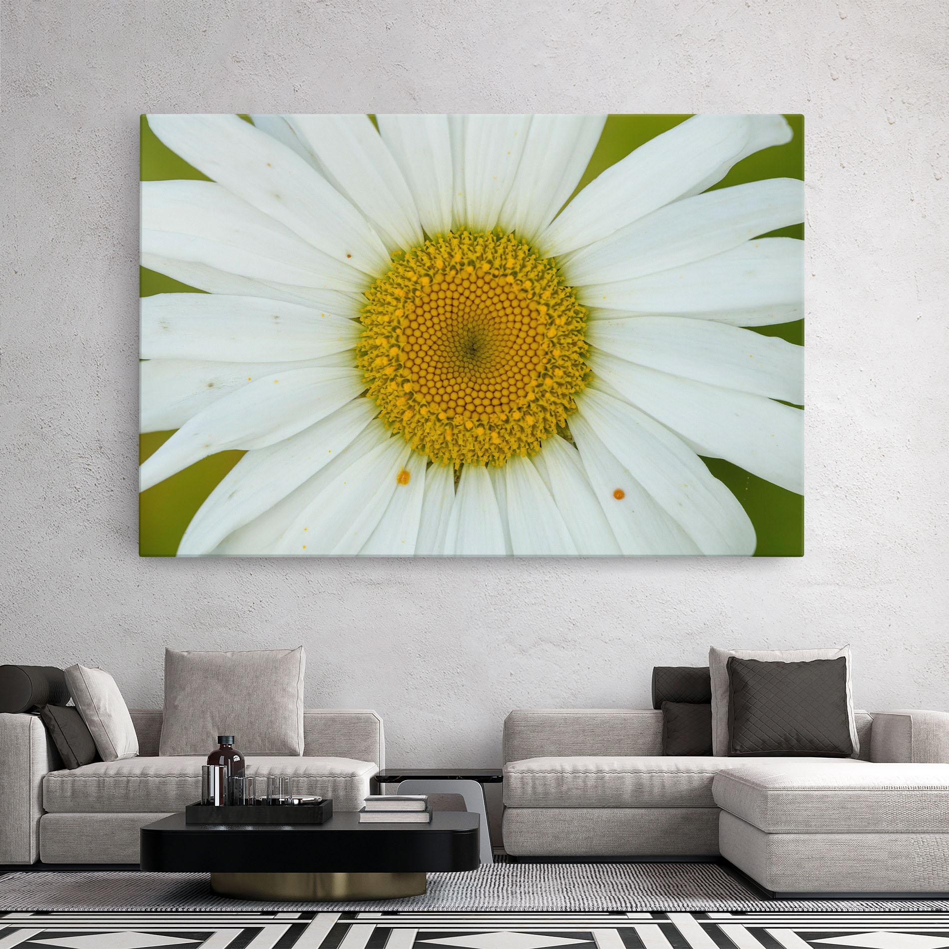 Tablou Canvas Daisy Close Up mockup 2