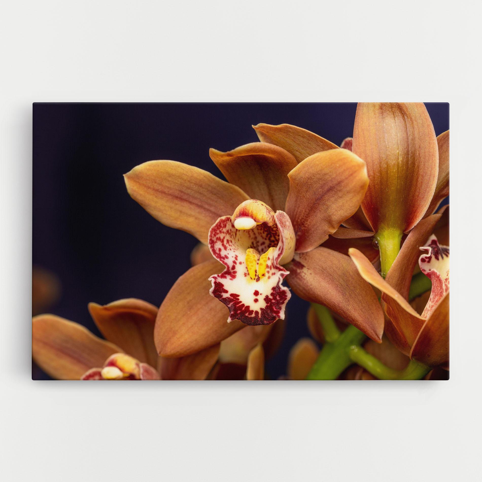 Tablou Canvas Dirty Orange Orchid mockup 0