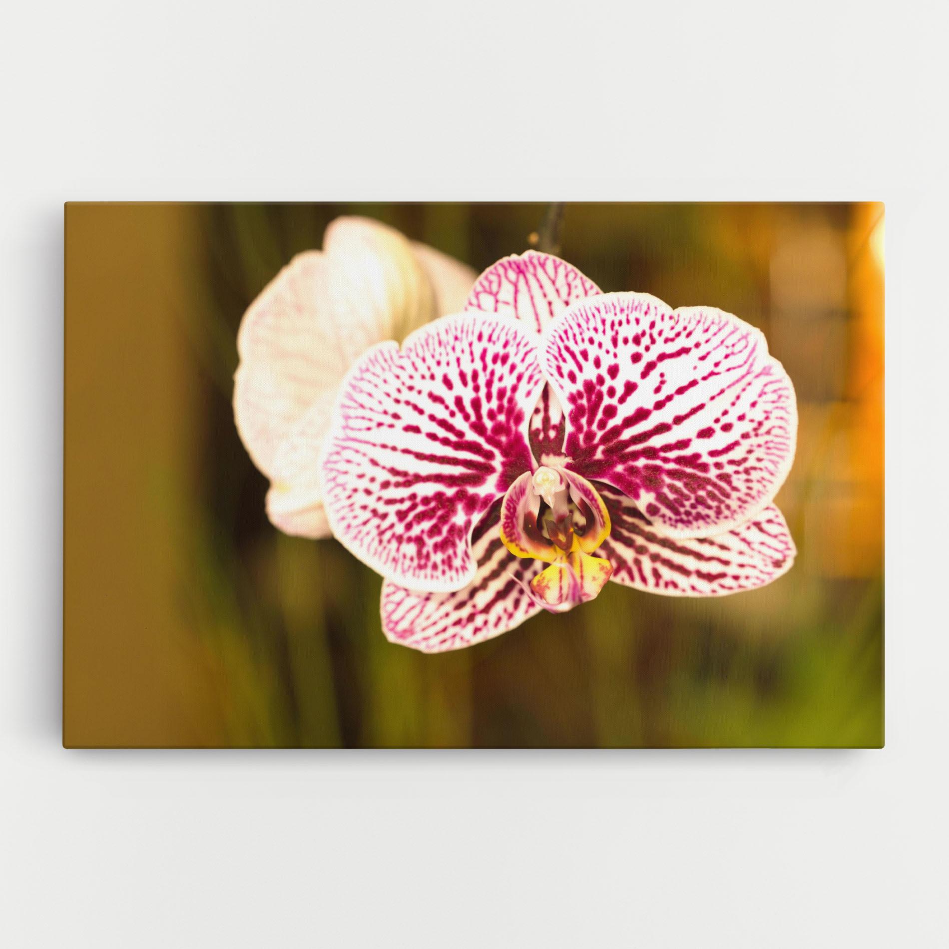 Tablou Canvas Garden Orchids mockup 0