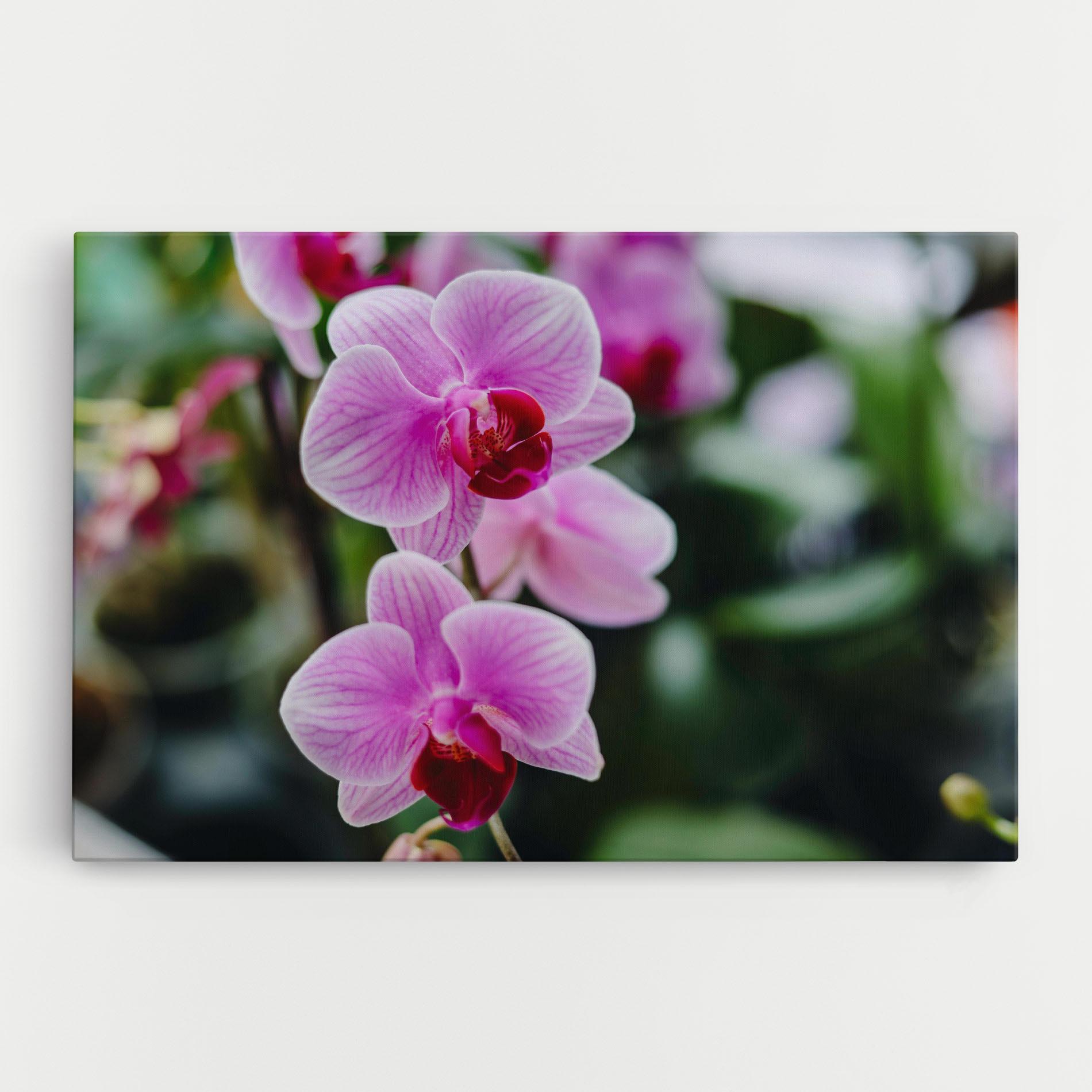 Tablou Canvas Garden Purple Orchids mockup 0