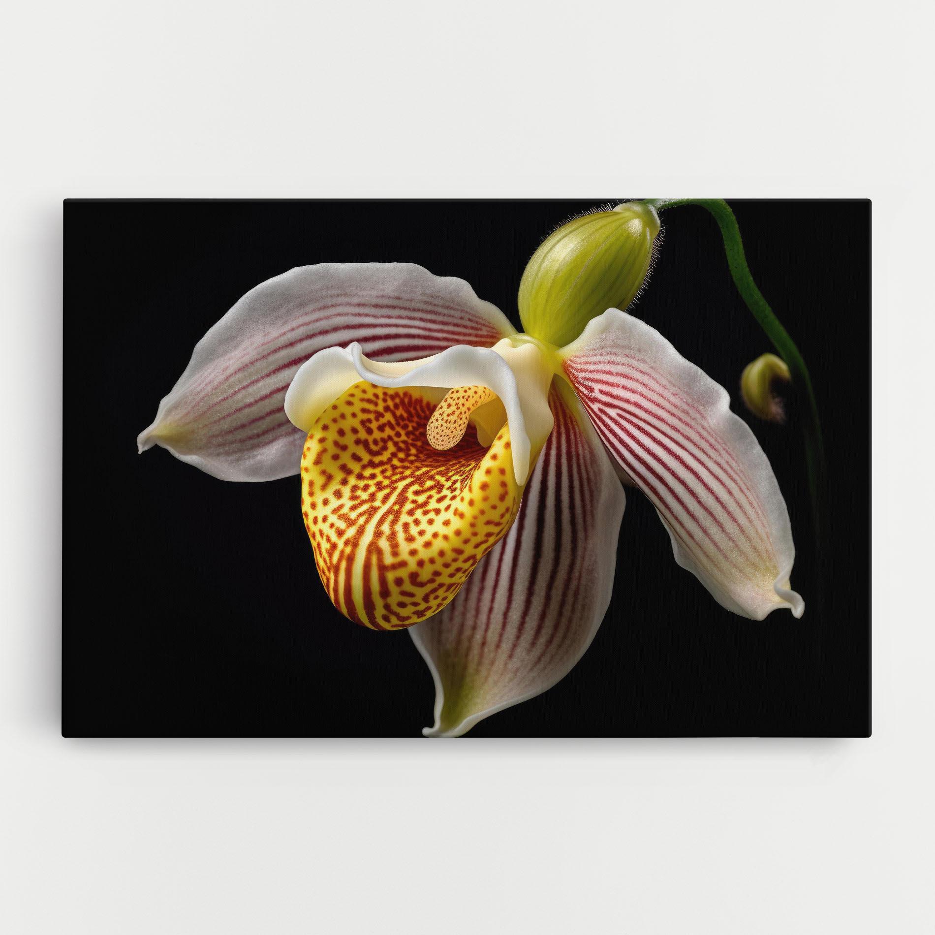 Tablou Canvas Orchid On Black mockup 0