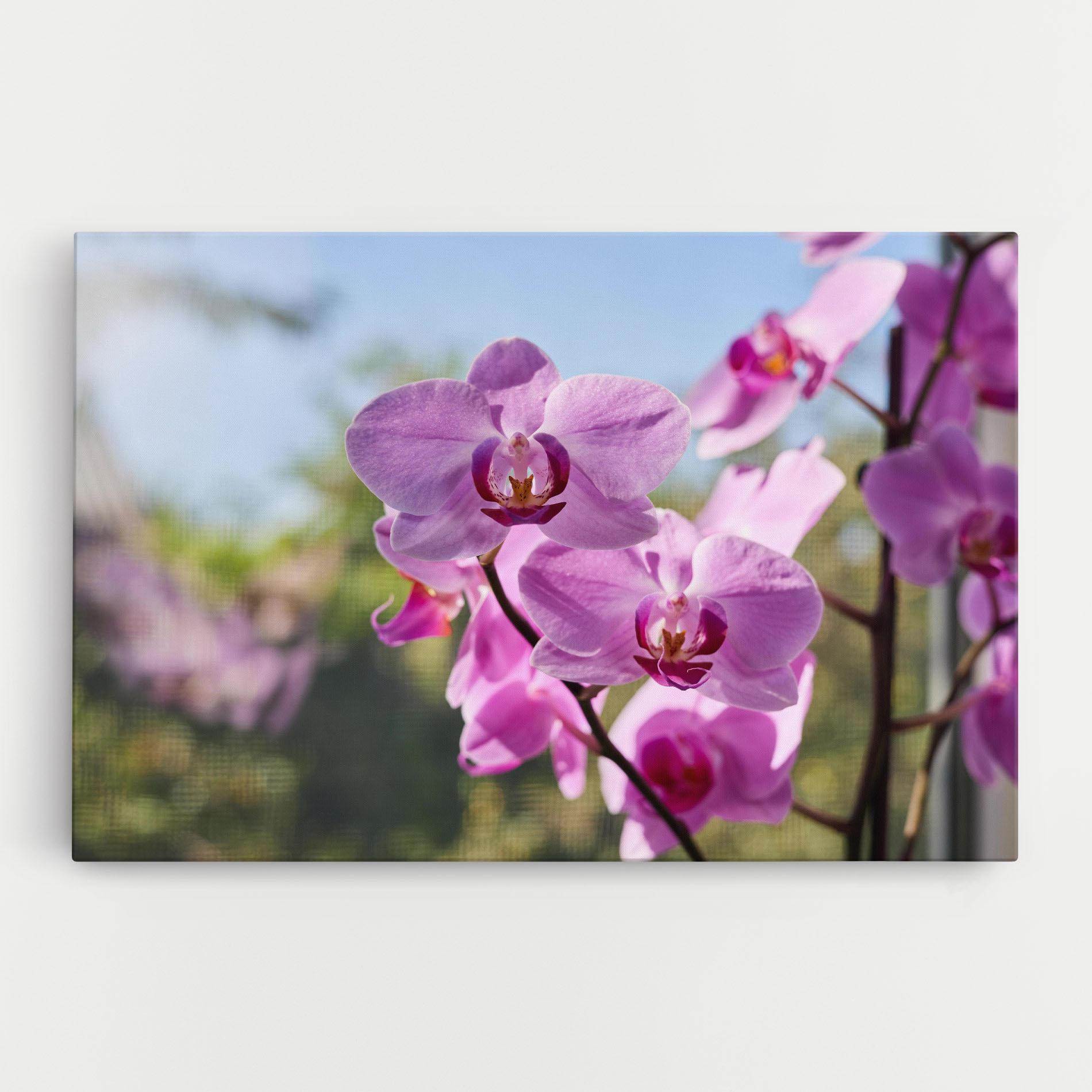 Tablou Canvas Orchids In The Garden mockup 0
