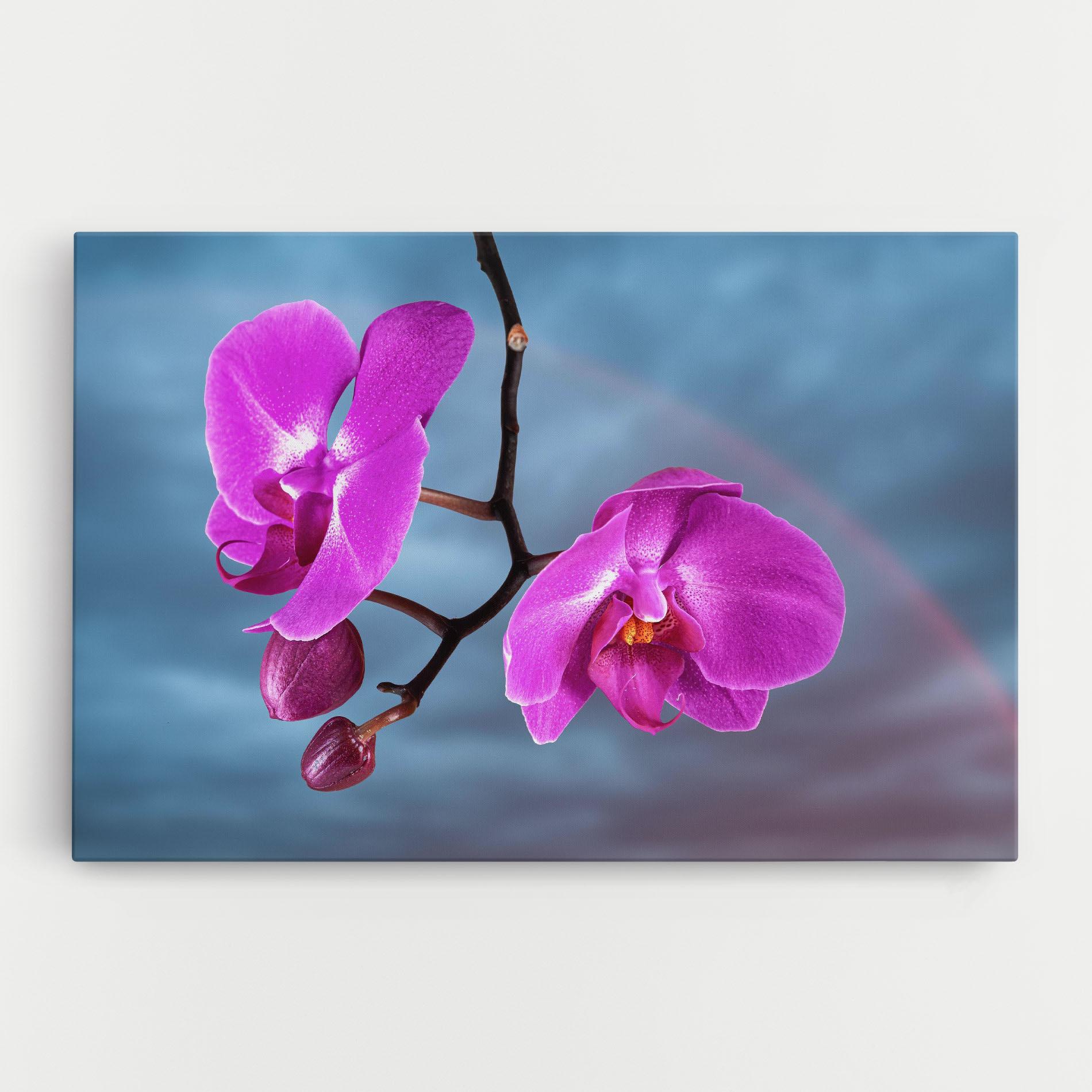 Tablou Canvas Sky Purple Orchid mockup 0