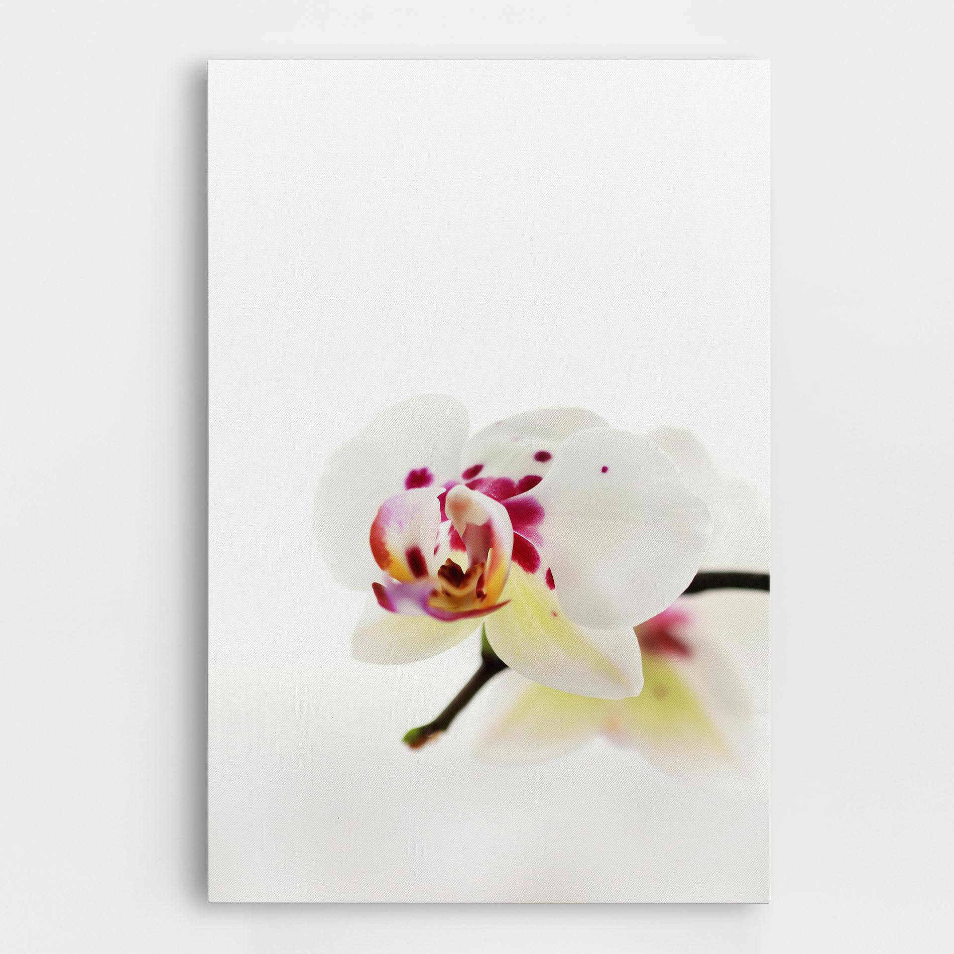 Tablou Canvas Clean White Orchid mockup 0