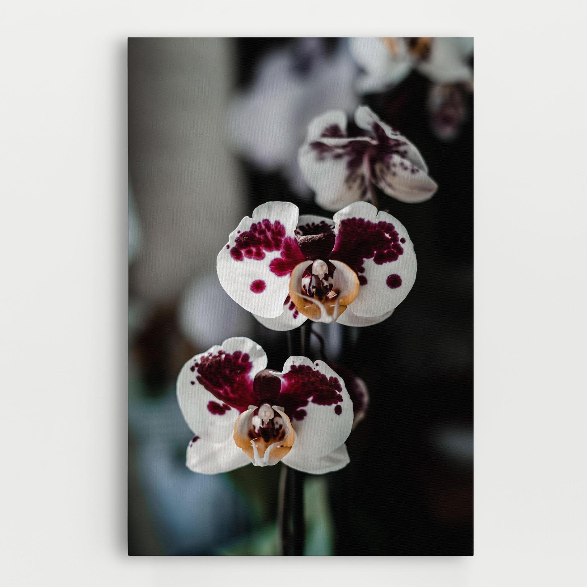 Tablou Canvas Dark Purple Orchid mockup 0