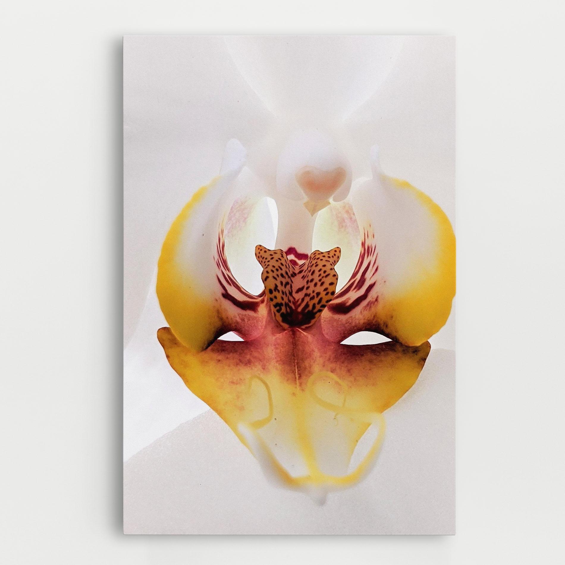 Tablou Canvas Orchid Close Up mockup 0
