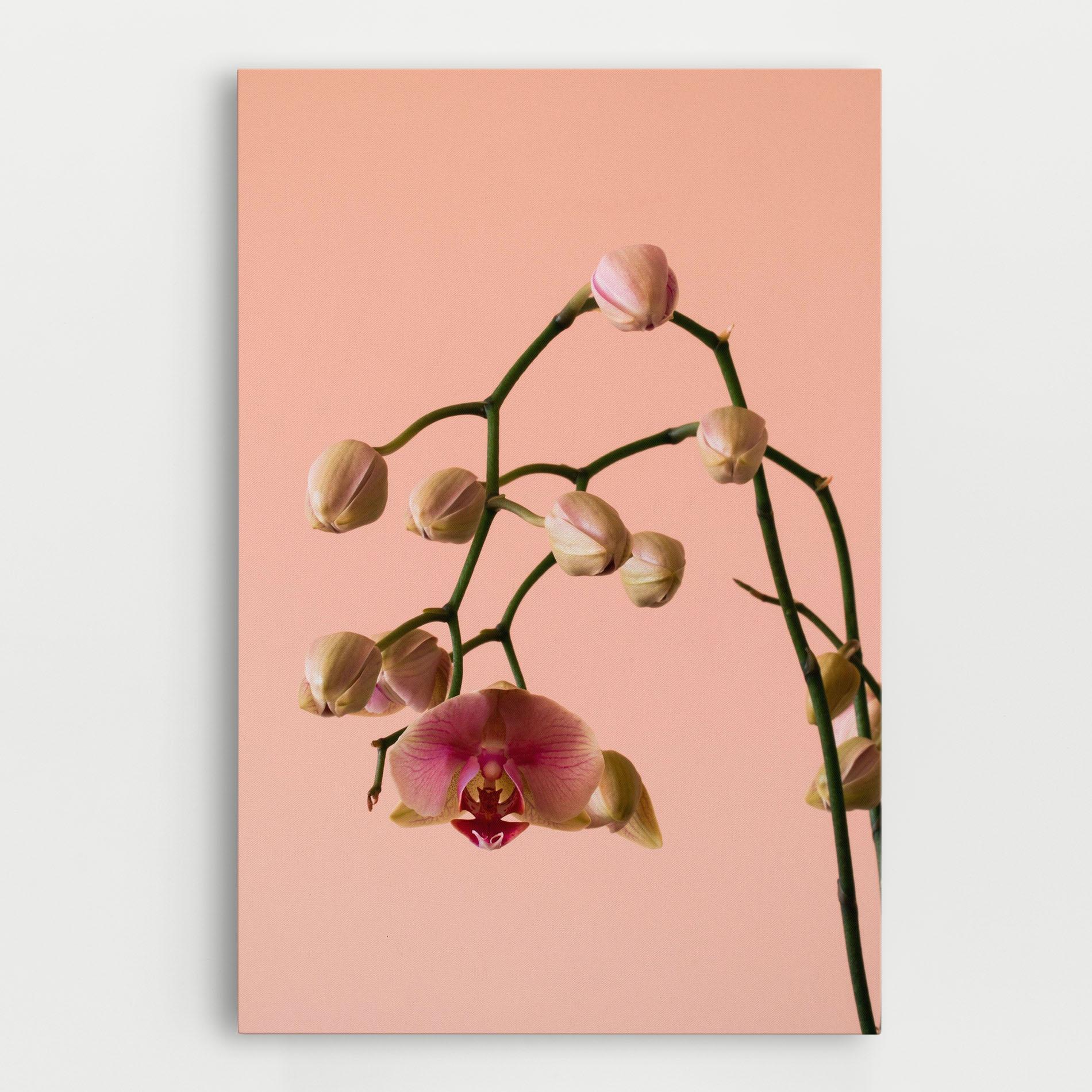 Tablou Canvas Orchids On Pink mockup 0