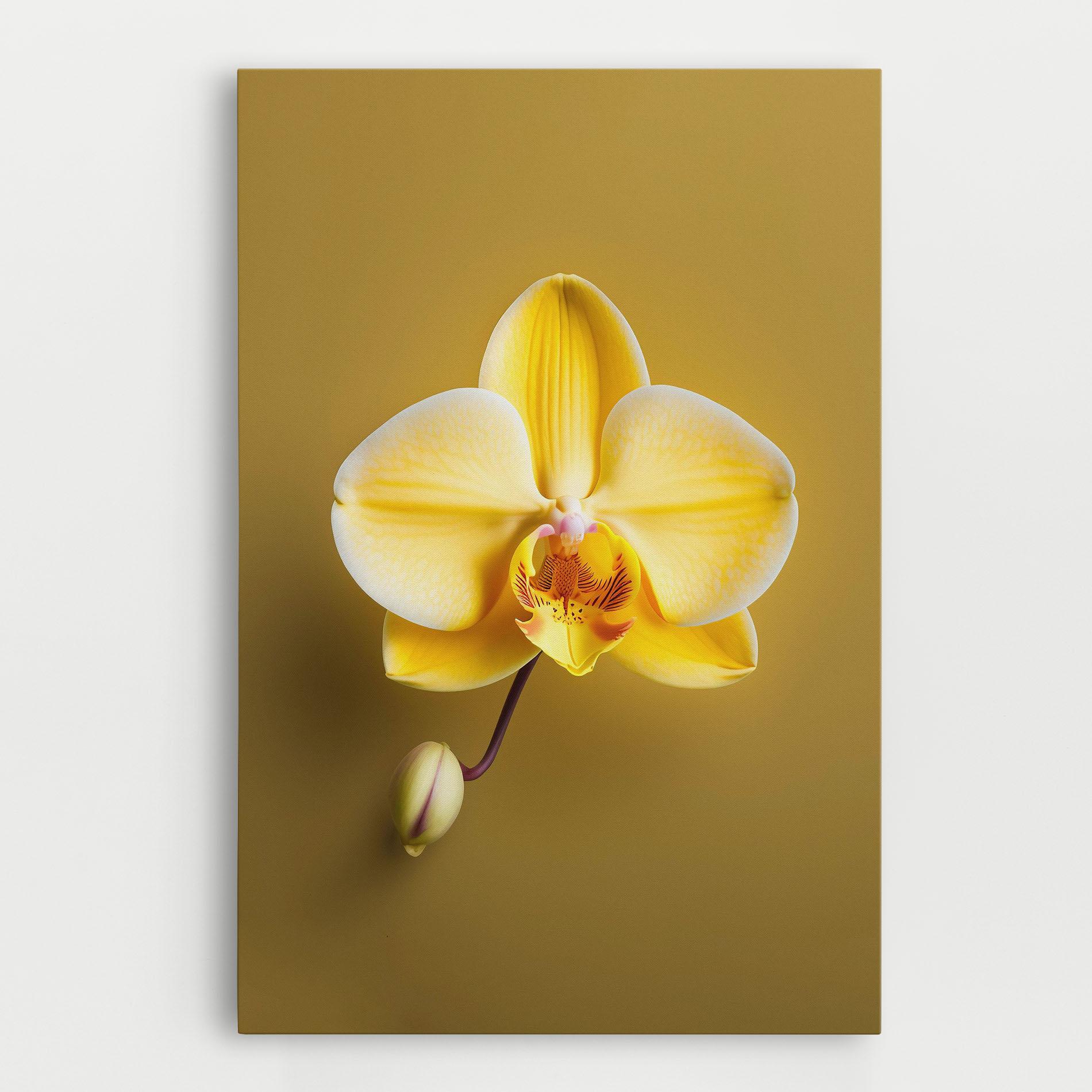 Tablou Canvas Pastel Yellow Orchid mockup 0