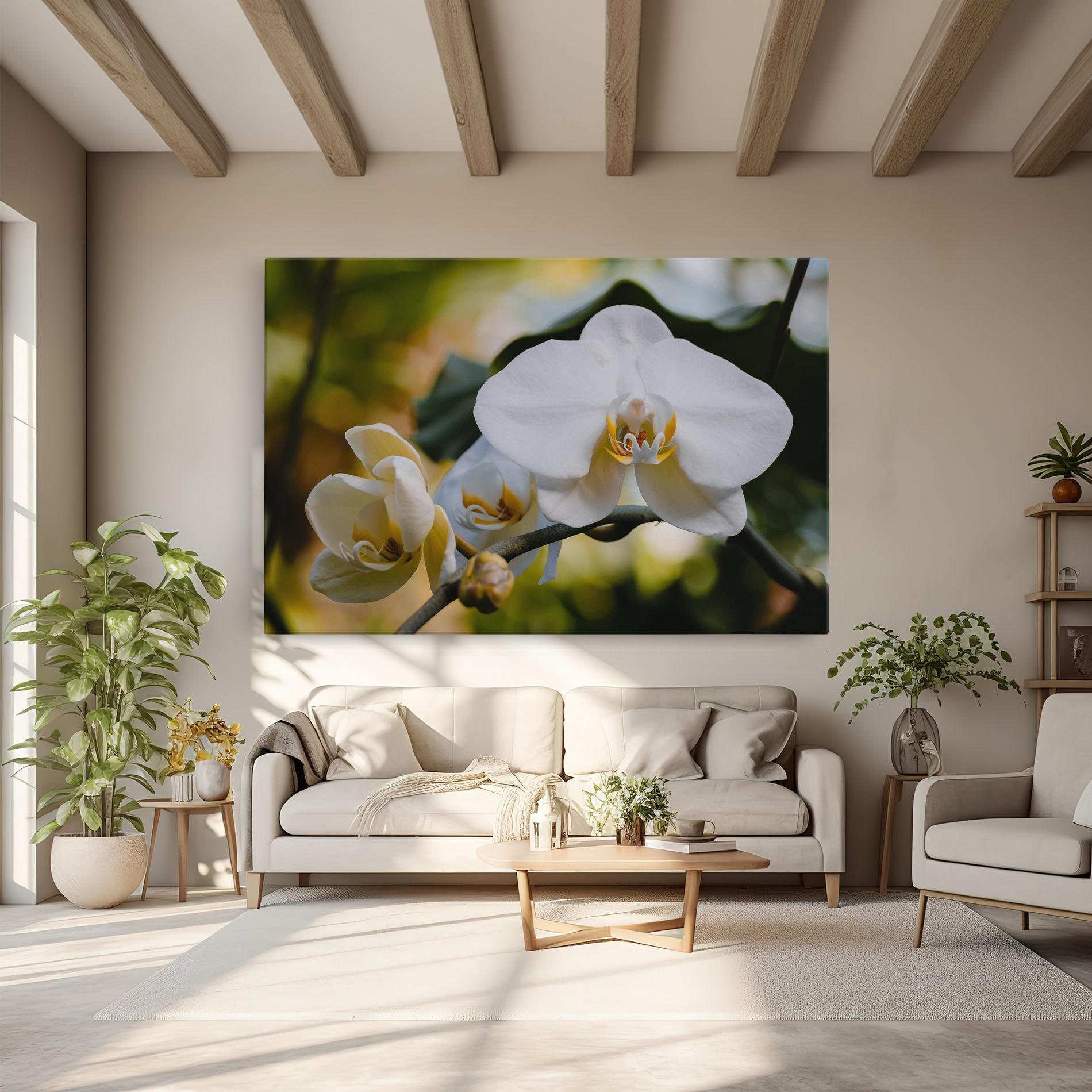 Tablou Canvas Cream Orchid In Nature mockup 6