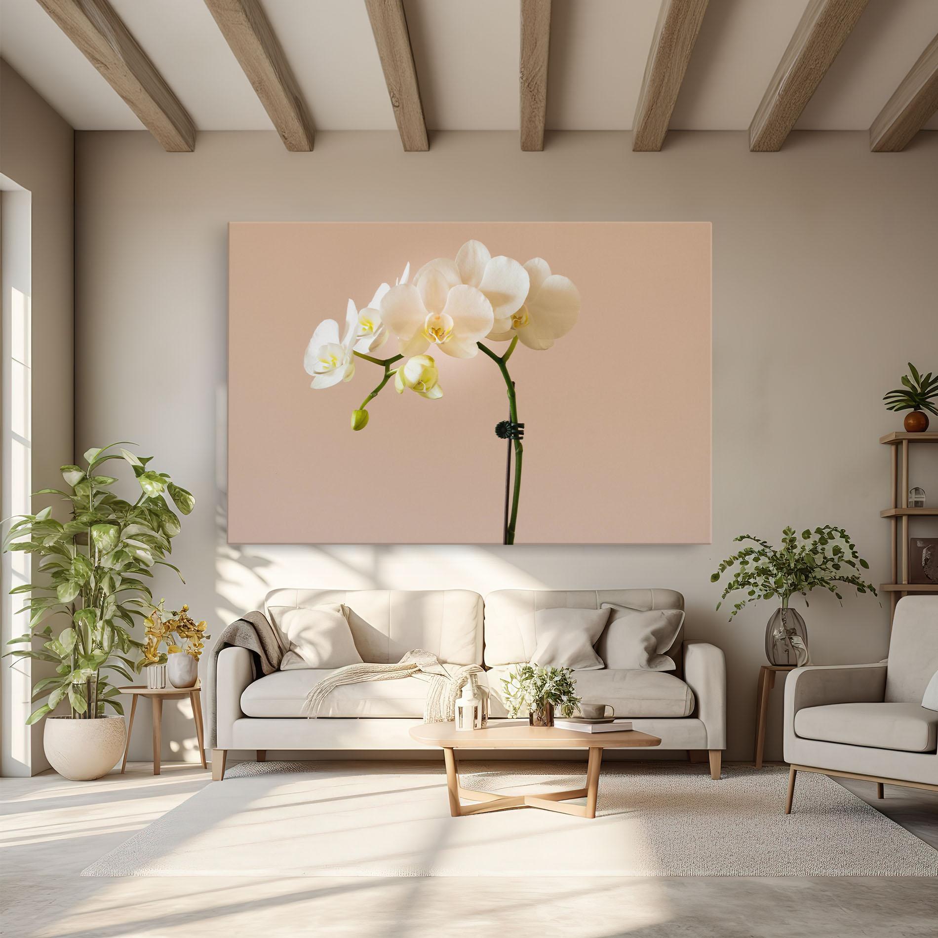 Tablou Canvas Cream Orchid On Pink mockup 6