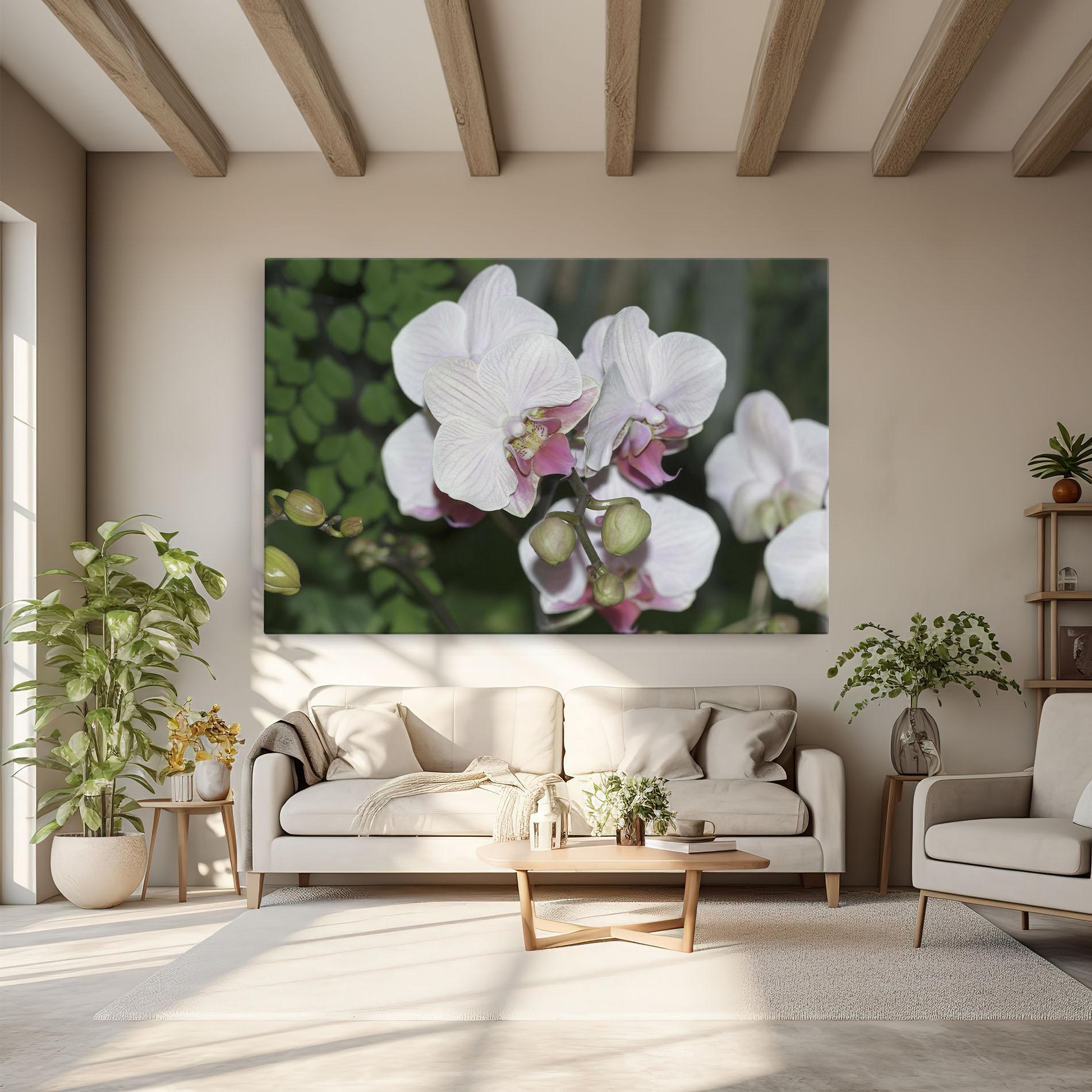 Tablou Canvas Orchid Botanical Garden mockup 6