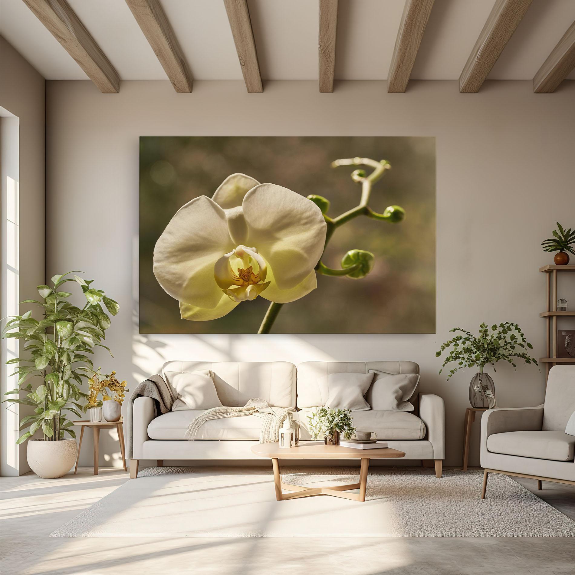 Tablou Canvas Pastel Yellow Orchid In Garden mockup 6