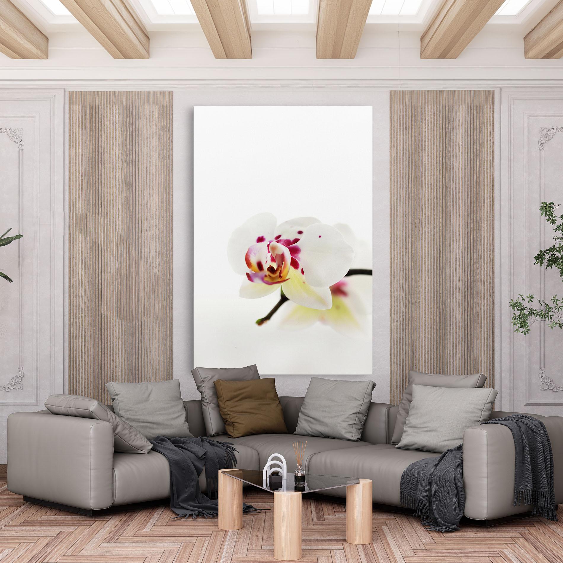 Tablou Canvas Clean White Orchid mockup 6