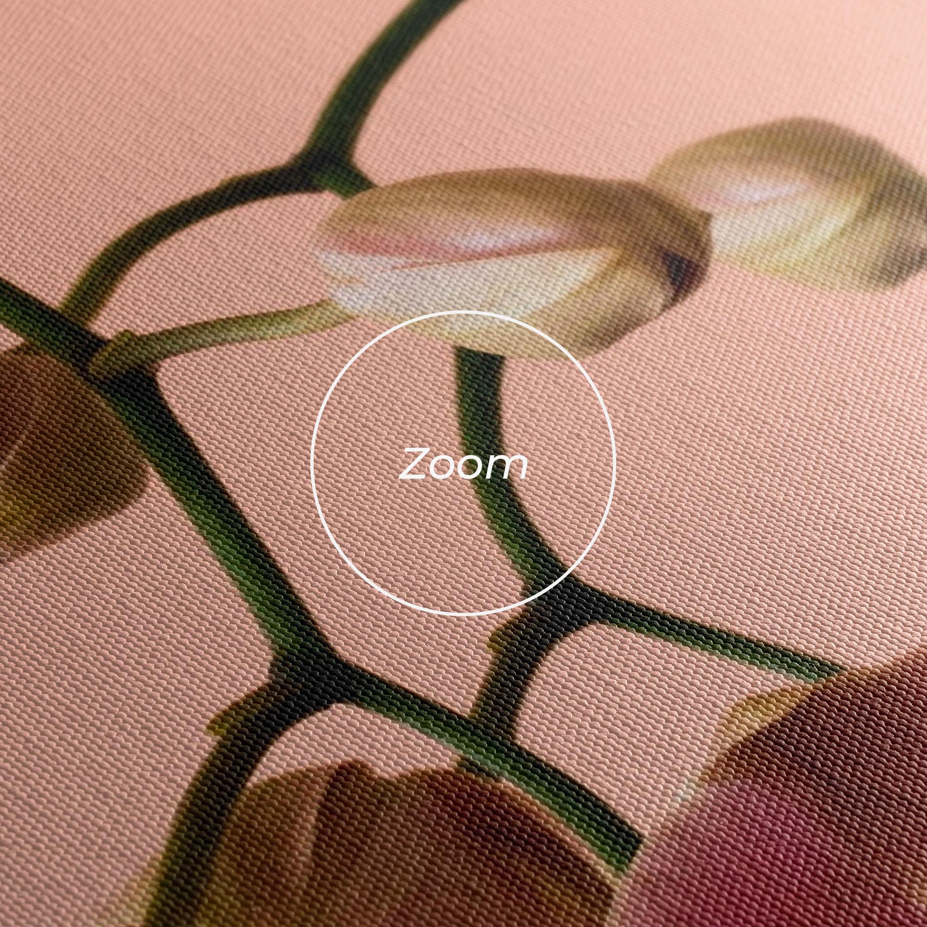 Tablou Canvas Orchids On Pink mockup 3