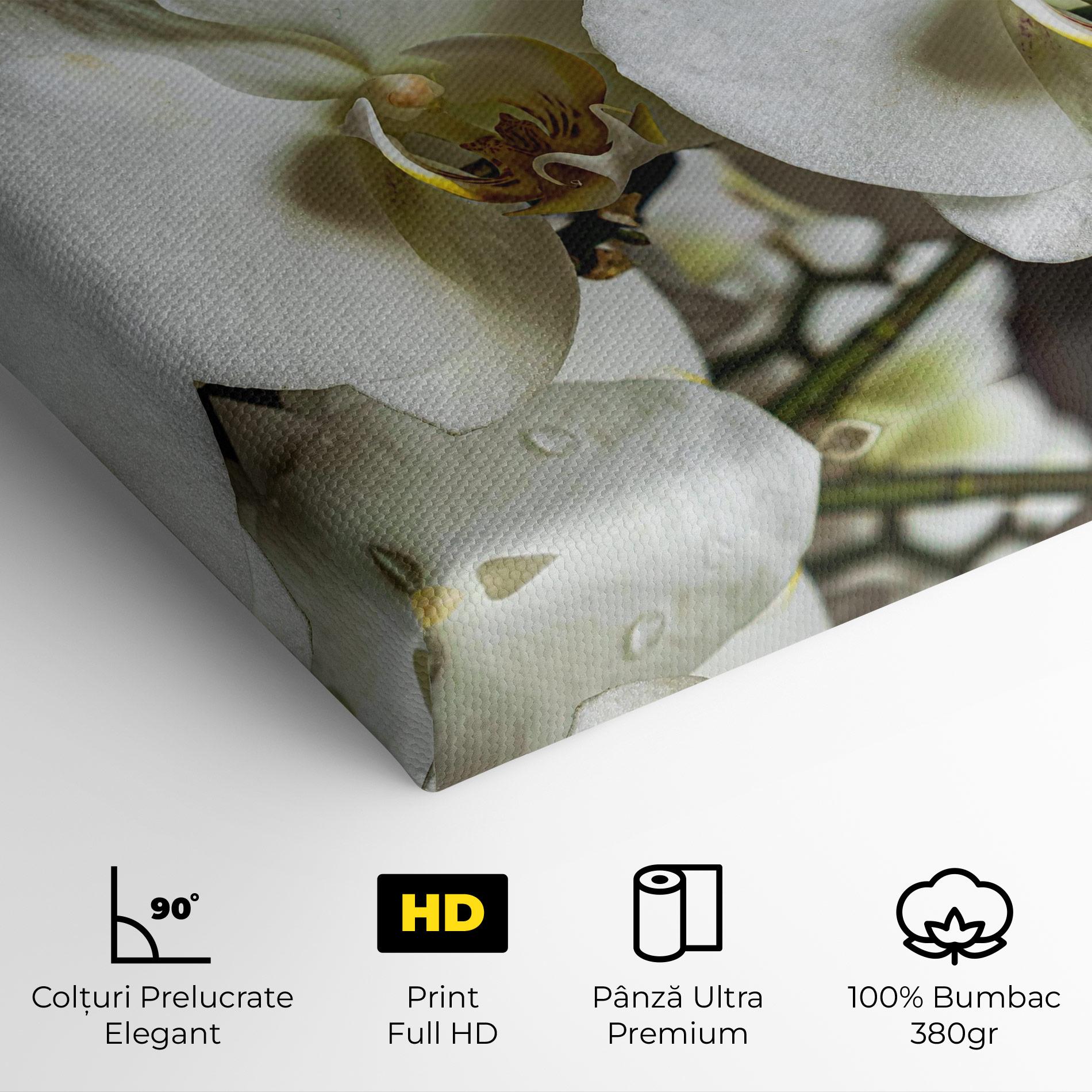 Tablou Canvas Beautiful White Orchids mockup 4