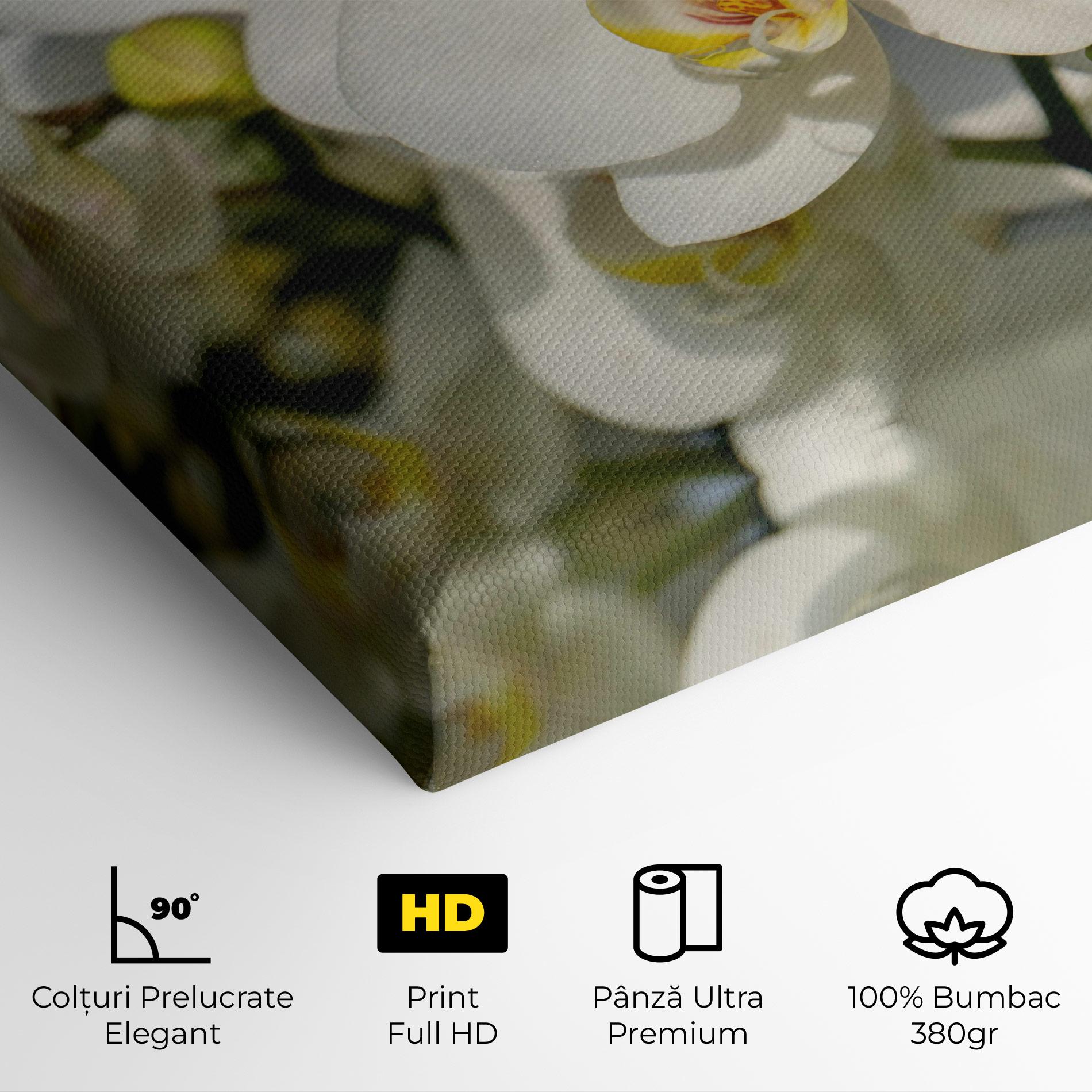 Tablou Canvas Big Orchids In Nature mockup 4