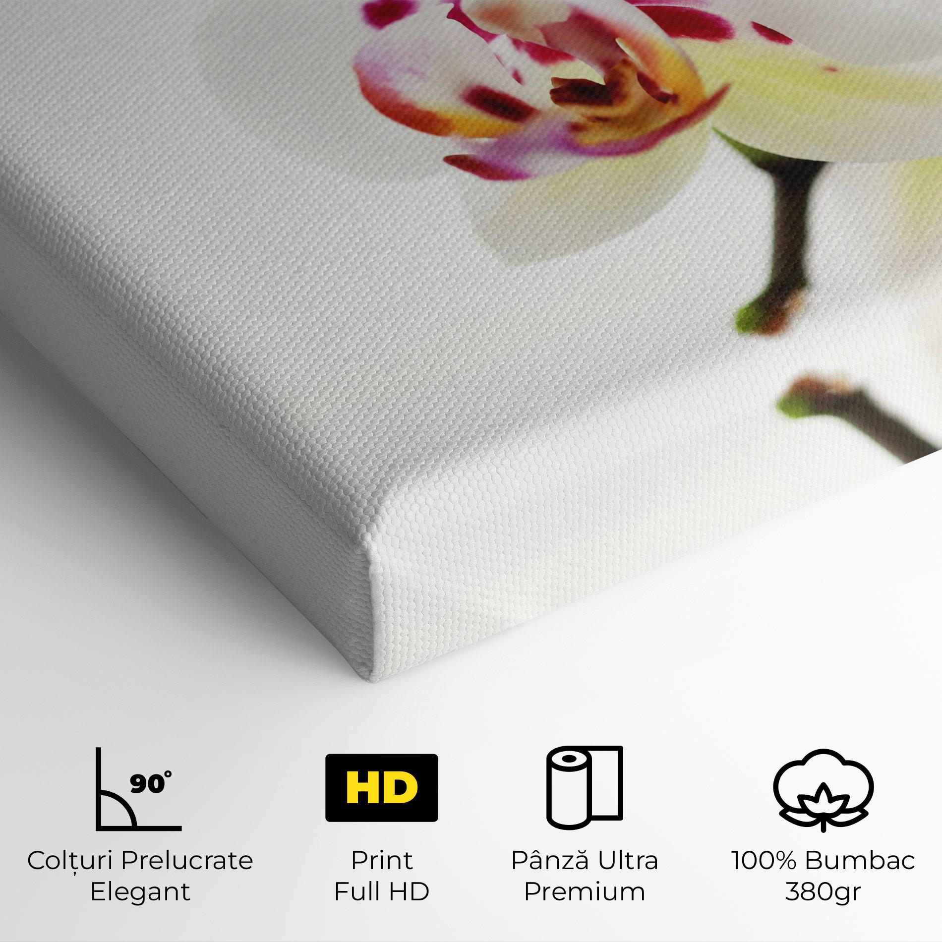 Tablou Canvas Clean White Orchid mockup 4