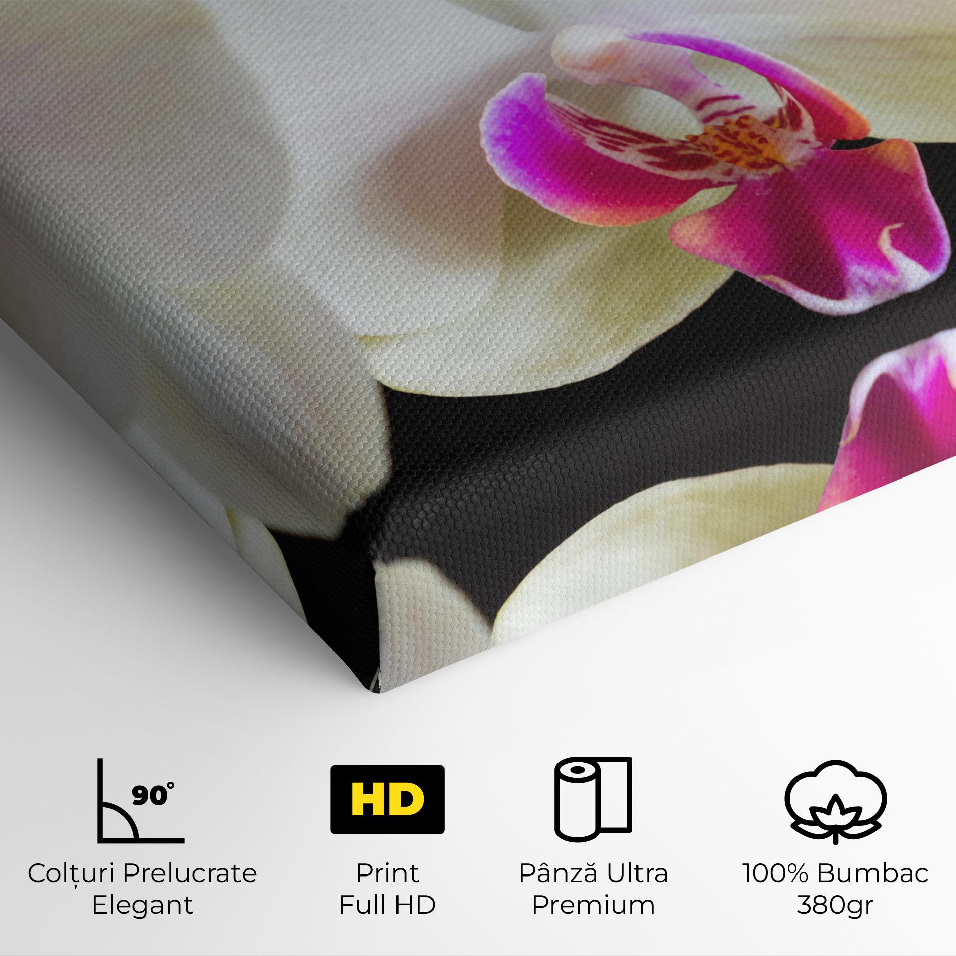 Tablou Canvas Cream Purple Orchids mockup 4
