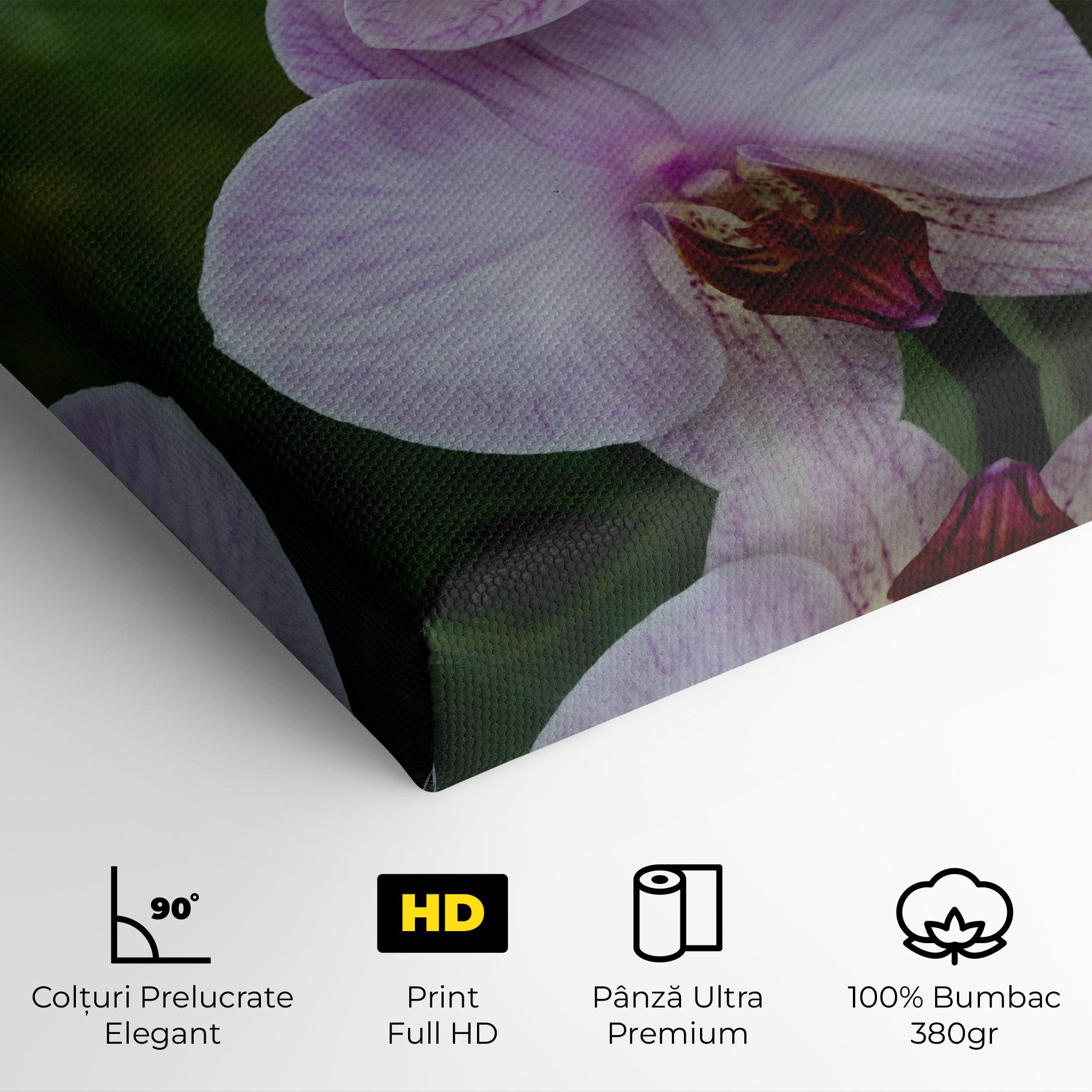Tablou Canvas Garden Light Purple Orchid mockup 4