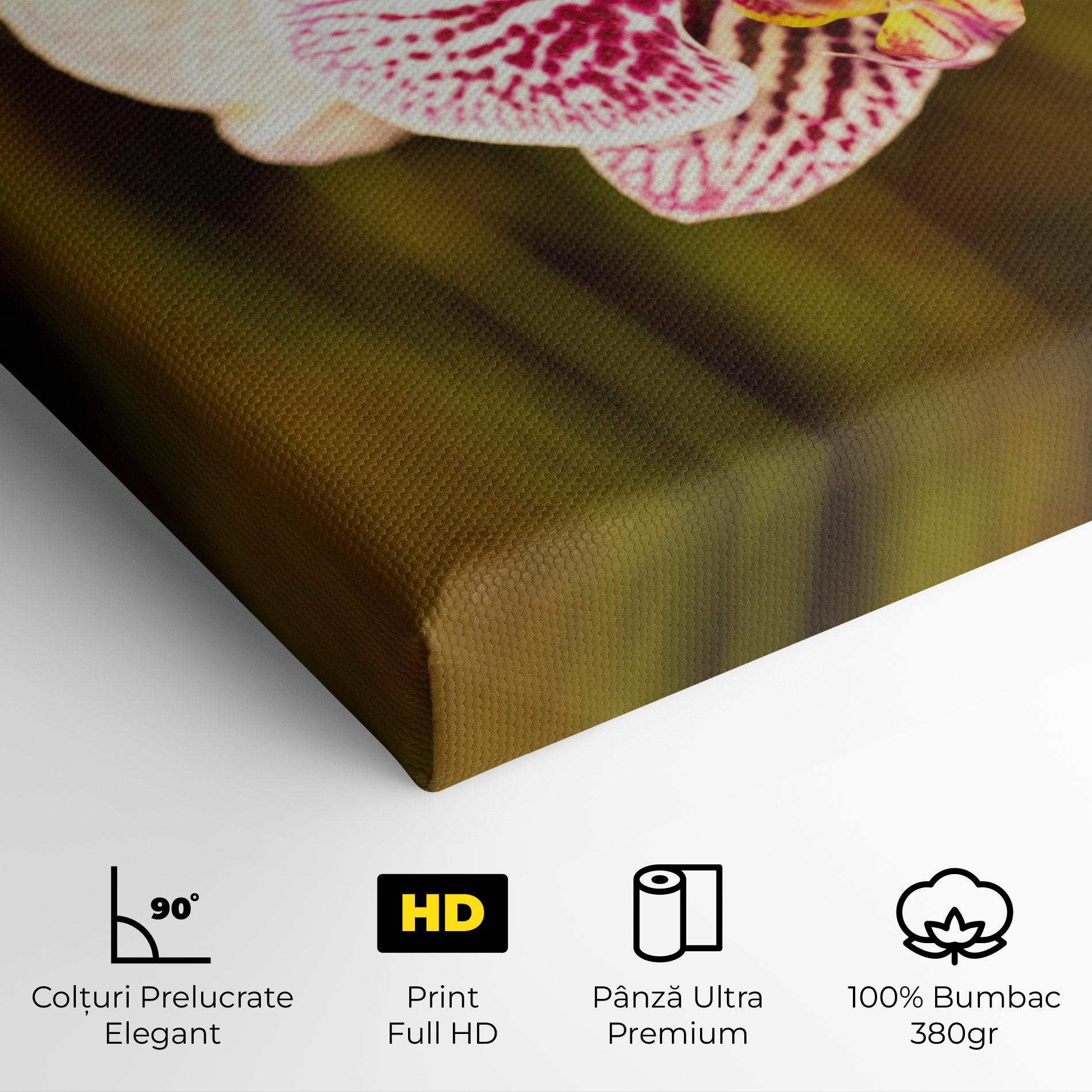 Tablou Canvas Garden Orchids mockup 4