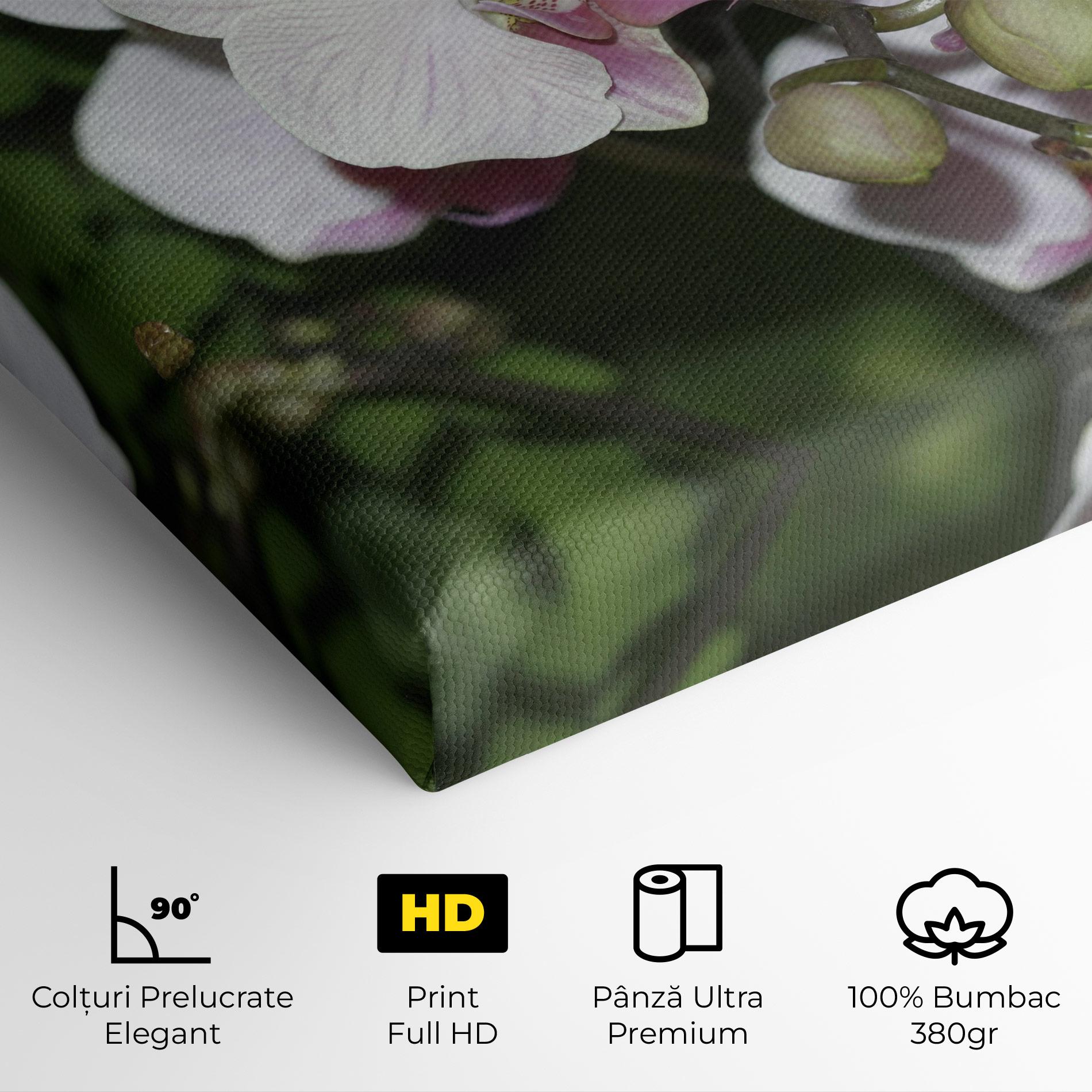 Tablou Canvas Orchid Botanical Garden mockup 4