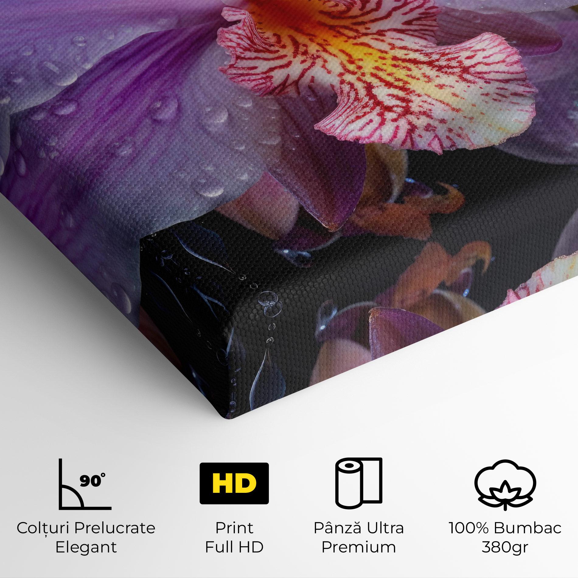 Tablou Canvas Orchid In Rain mockup 4