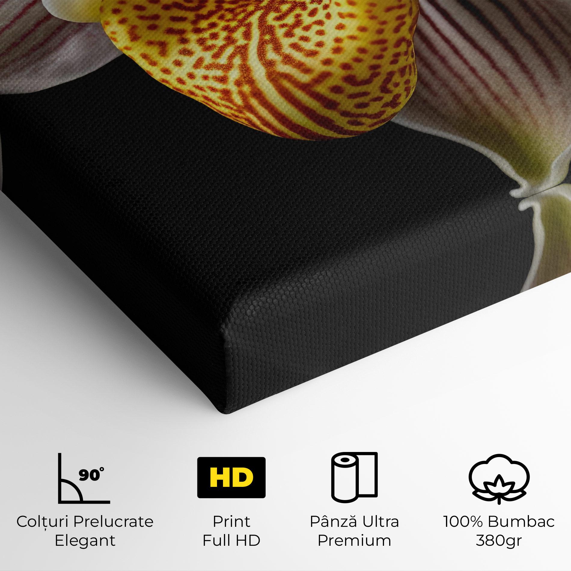 Tablou Canvas Orchid On Black mockup 4