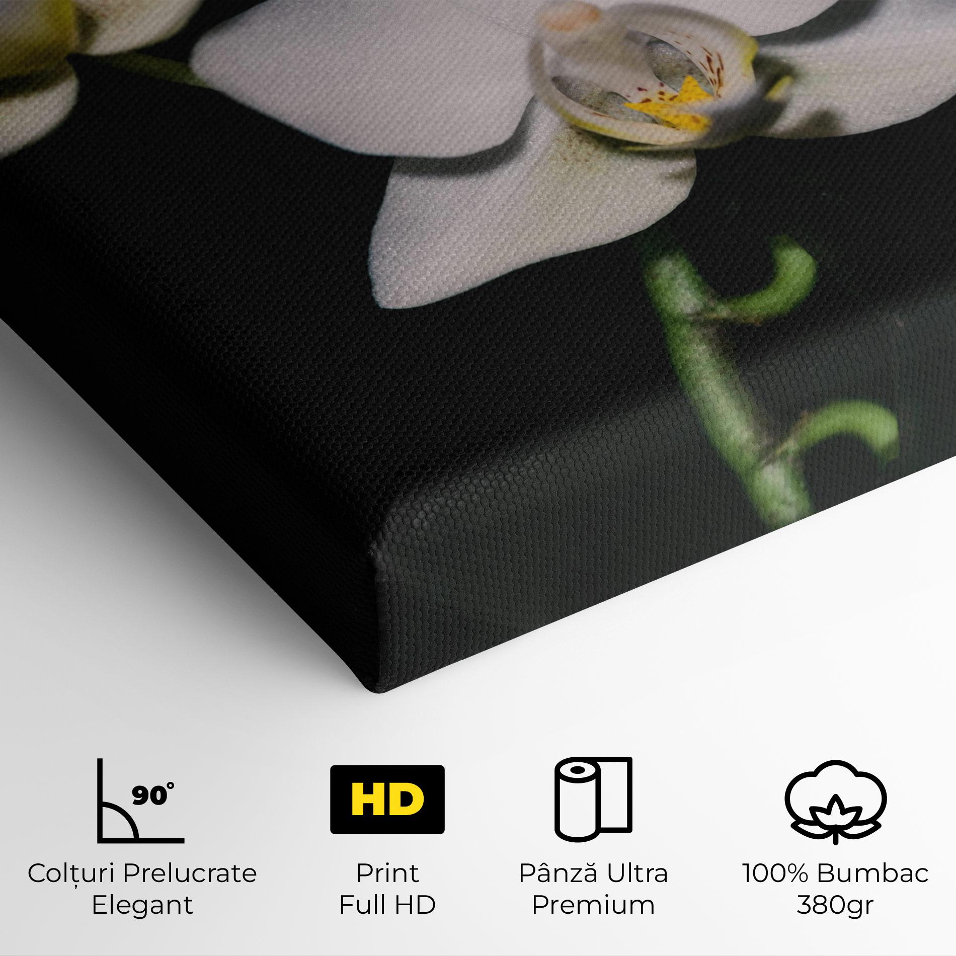 Tablou Canvas Orchids On Black mockup 4