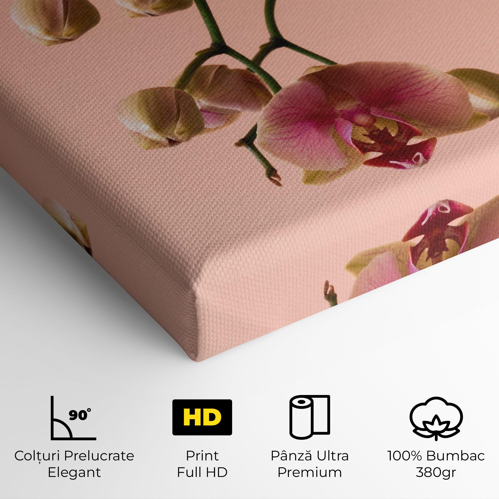 Tablou Canvas Orchids On Pink mockup 4
