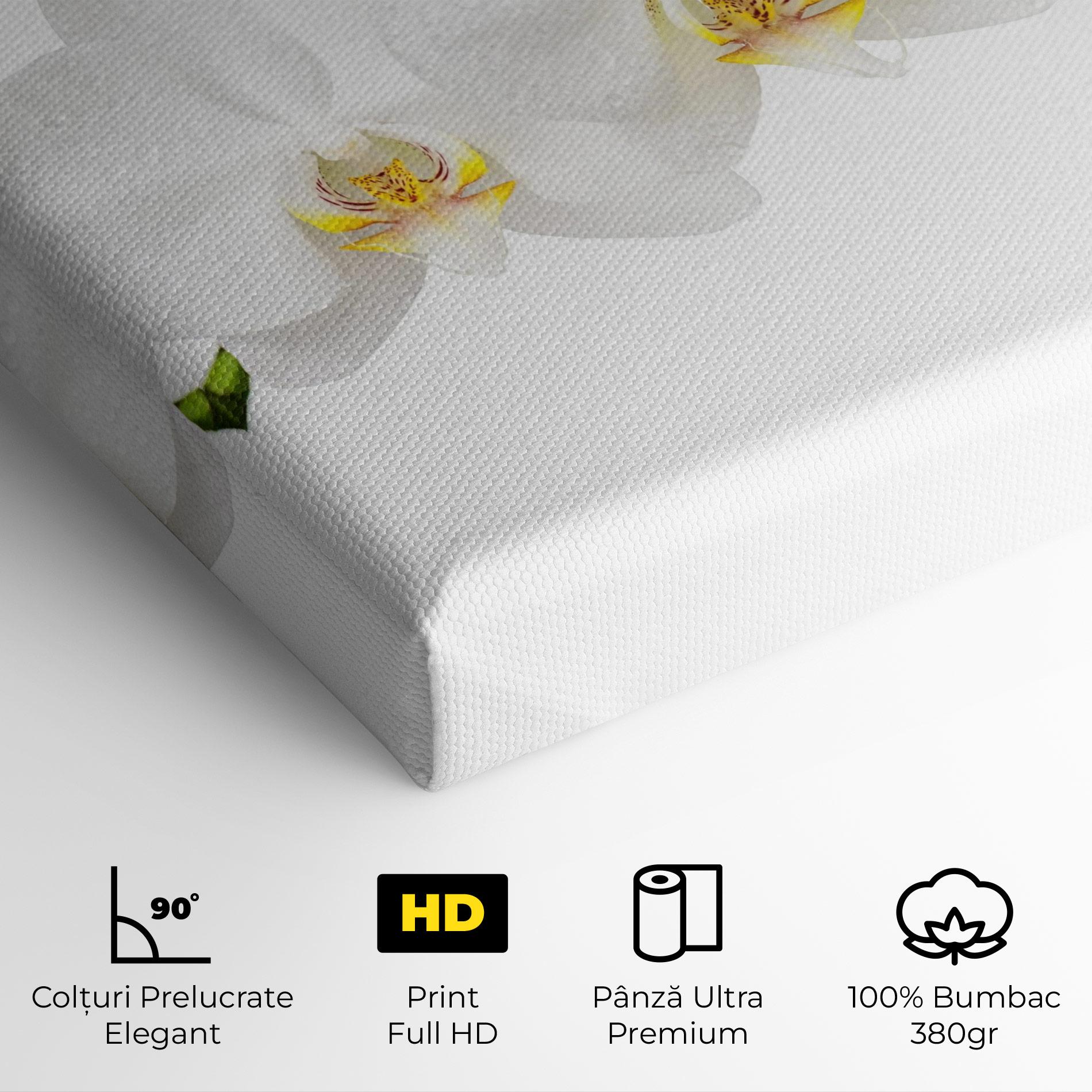Tablou Canvas Orchids On White mockup 4