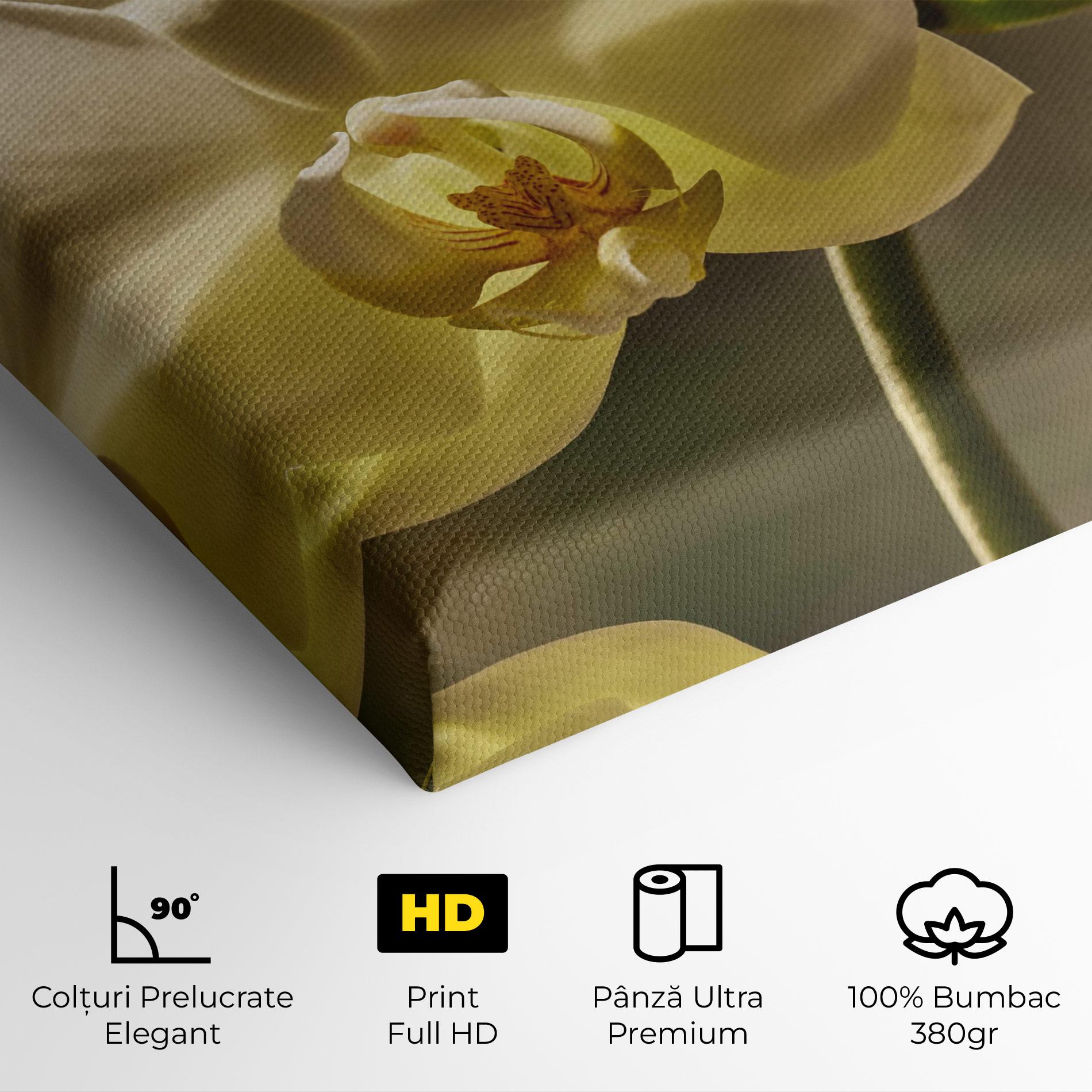 Tablou Canvas Pastel Yellow Orchid In Garden mockup 4