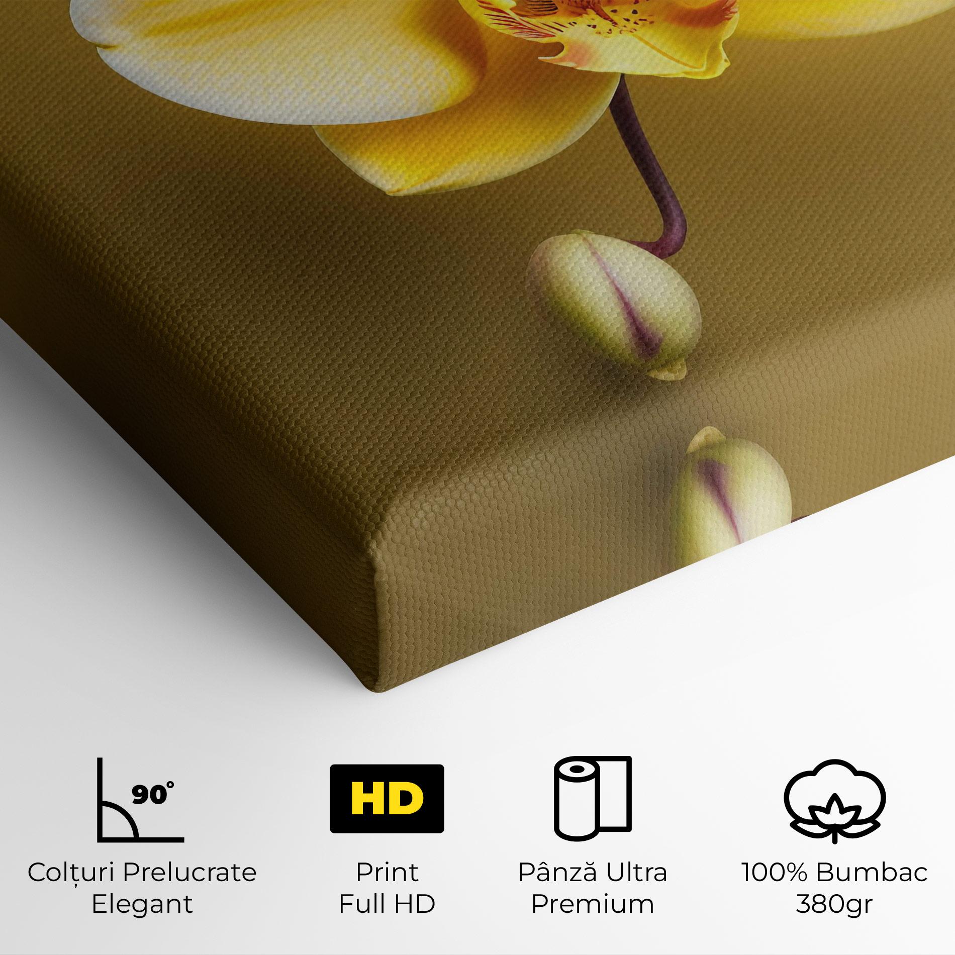 Tablou Canvas Pastel Yellow Orchid mockup 4