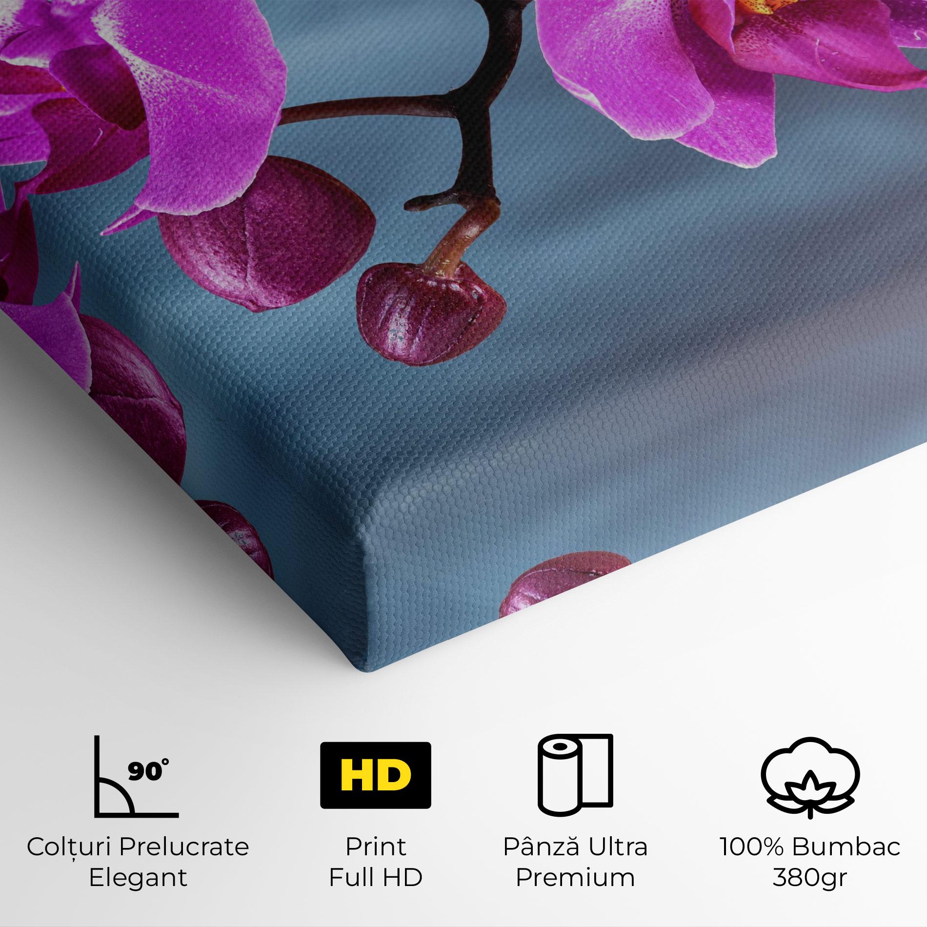 Tablou Canvas Sky Purple Orchid mockup 4