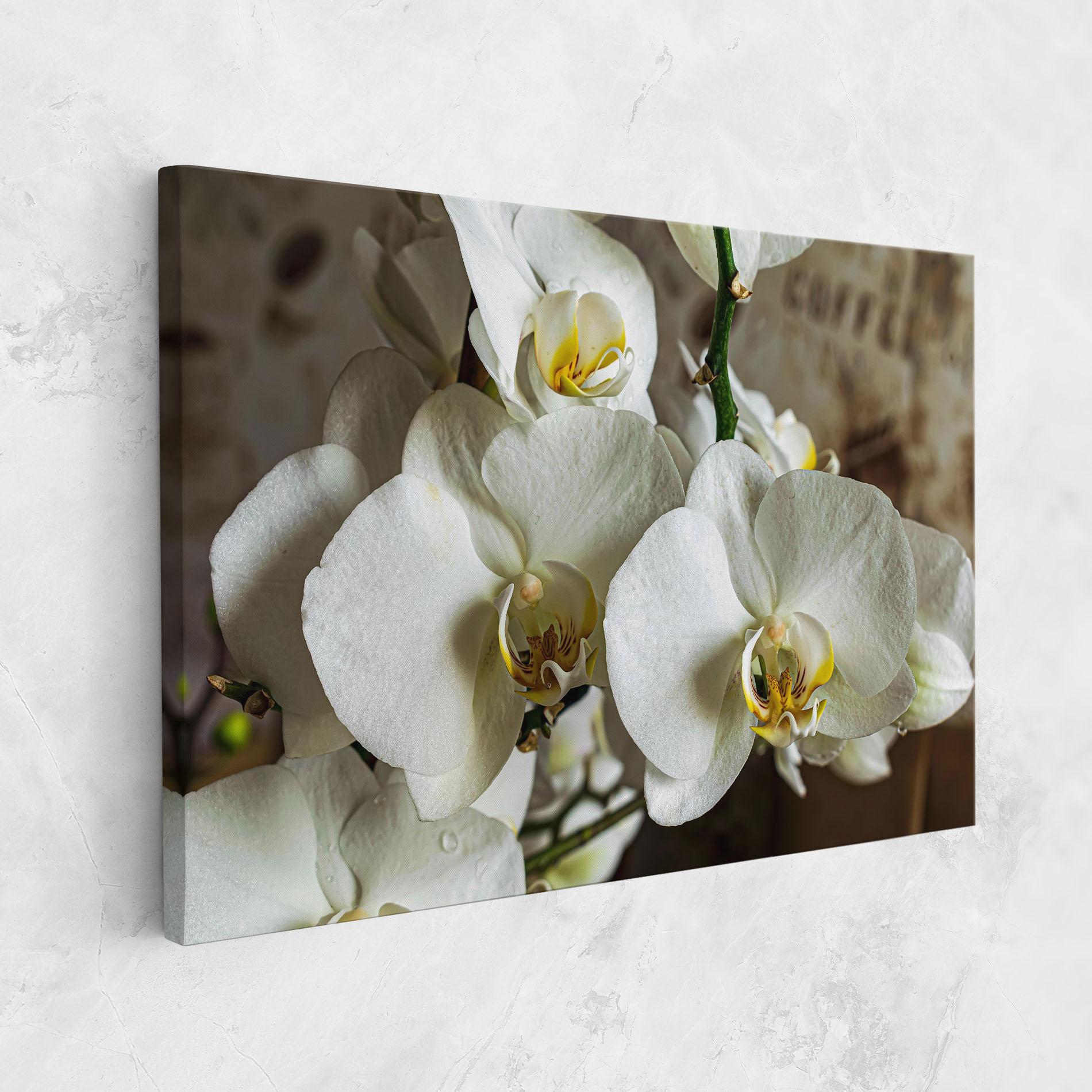 Tablou Canvas Beautiful White Orchids mockup 1