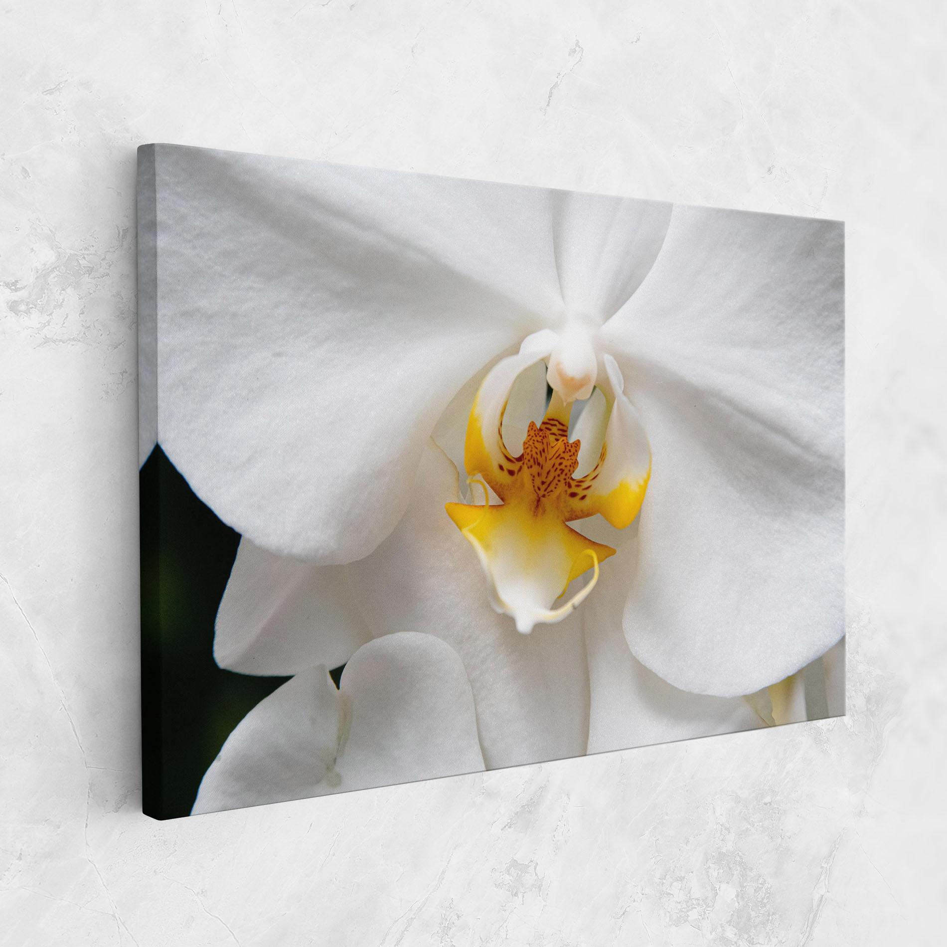 Tablou Canvas Big Orchid Close Up mockup 1