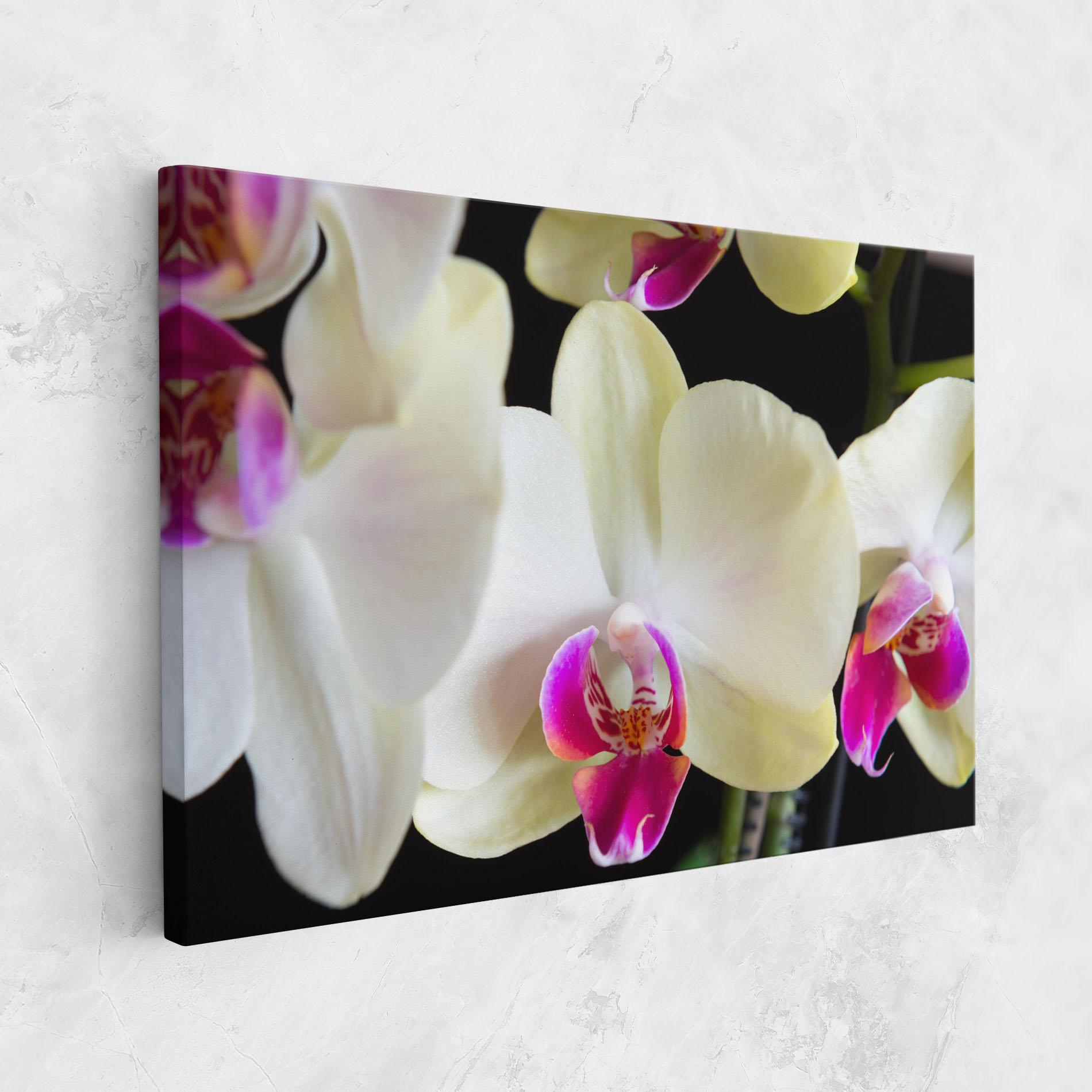 Tablou Canvas Cream Purple Orchids mockup 1