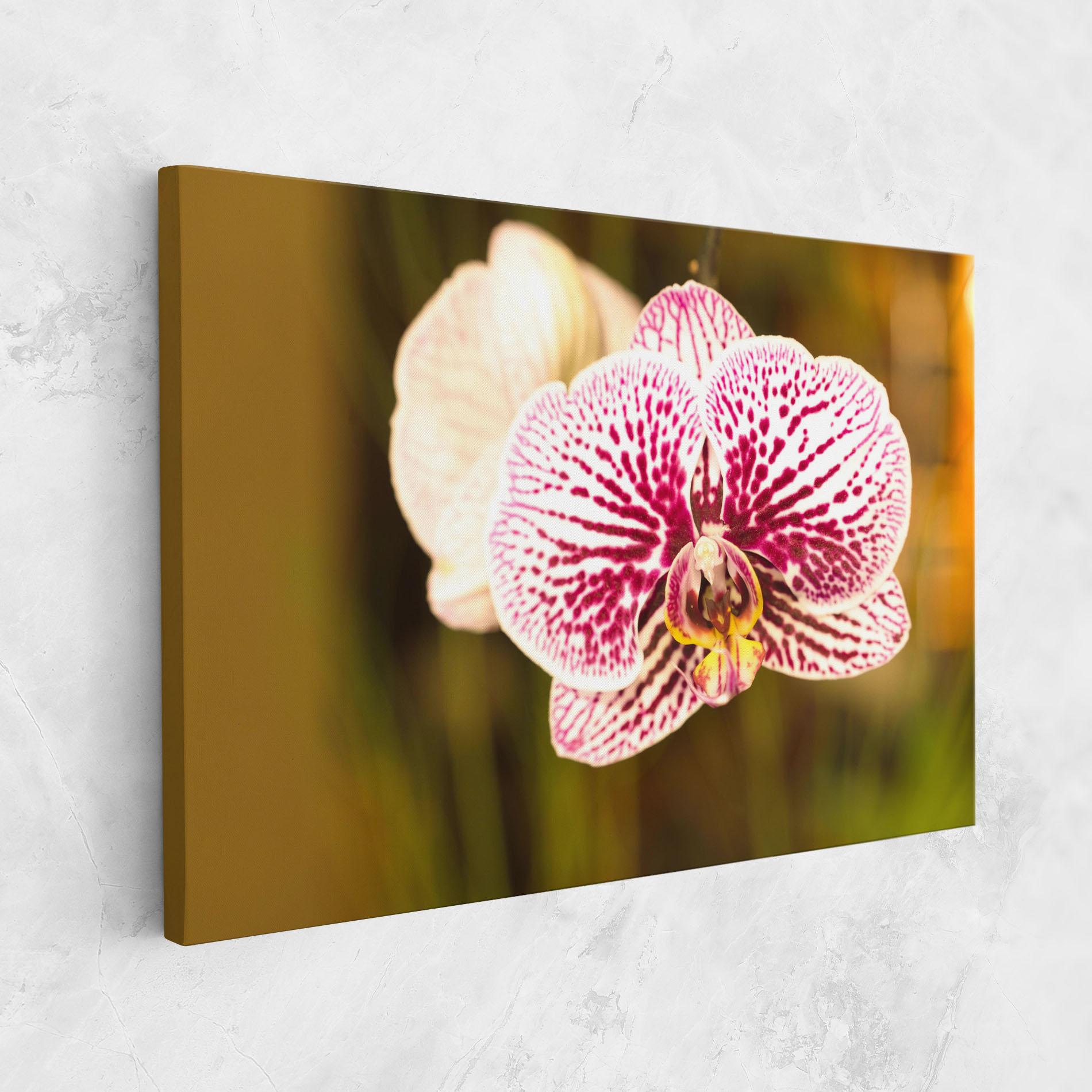 Tablou Canvas Garden Orchids mockup 1