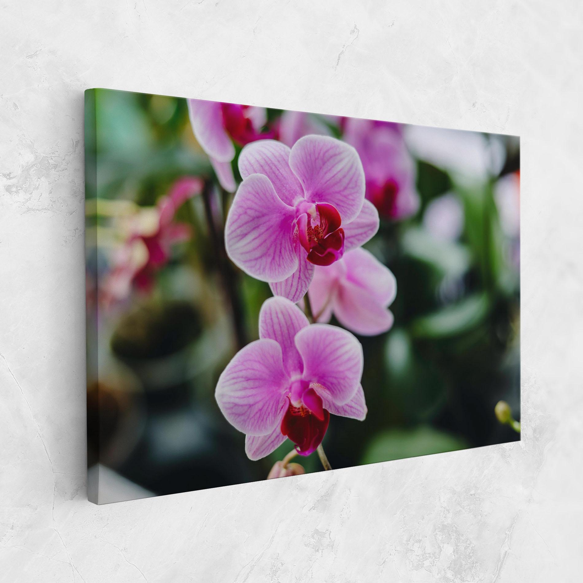 Tablou Canvas Garden Purple Orchids mockup 1